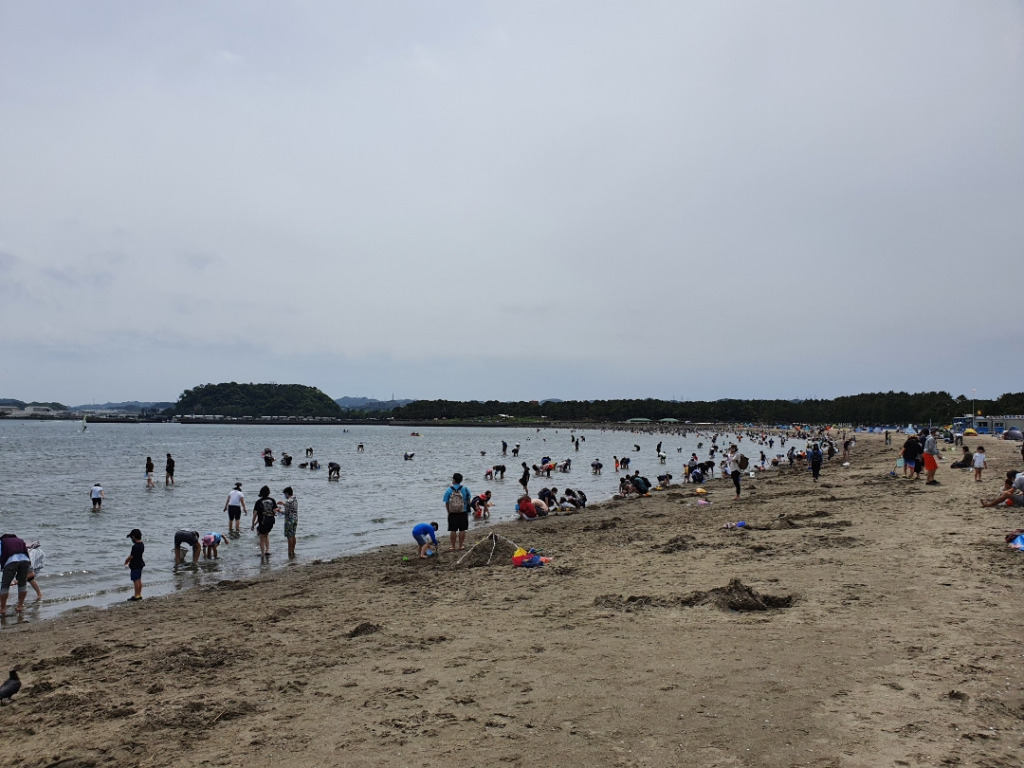 休日は家族で潮干狩りに行こう！！：横浜金沢区 海の公園