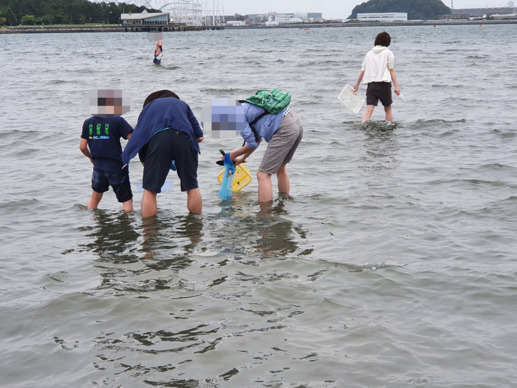 休日は家族で潮干狩りに行こう！！：横浜金沢区 海の公園