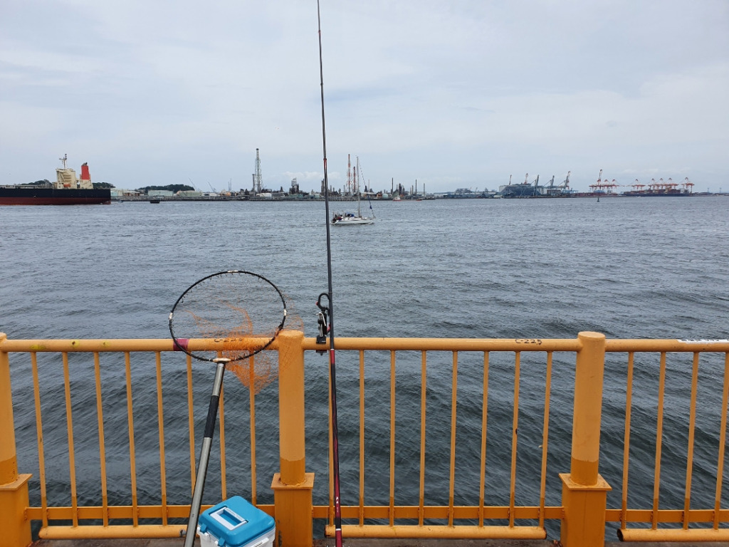 神奈川 ウキフカセ釣りでメジナを釣る：今回の当たりエサ？タナは？
