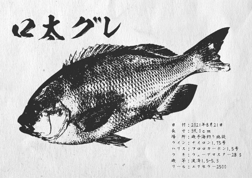 デジタル魚拓を無料で作ってみた!!作り方と作成工程を詳しく紹介!