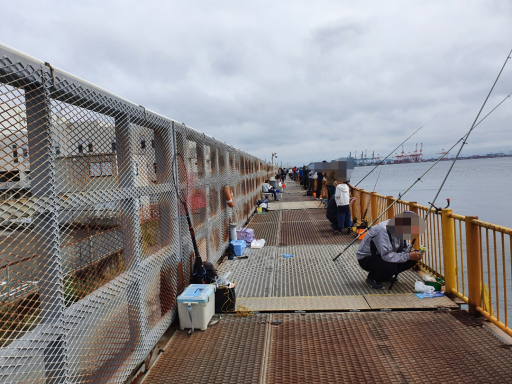 水温が下がり好調の磯子海釣り施設で良型グレをGET！！神奈川・横浜