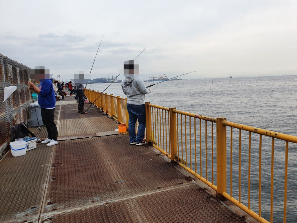南桟橋と東桟橋 釣り比べ！メジナとクロダイはどちらで釣れた？