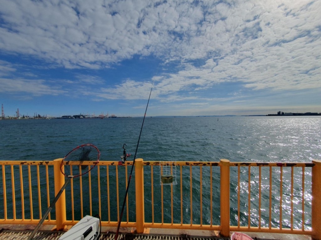 中央桟橋でフカセ釣りをしてみたら？！磯子海釣り施設