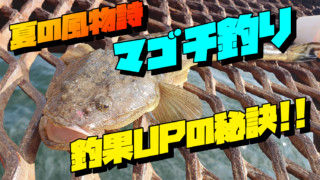 【横浜のハゼ釣り一級ポイント 大岡川】ハゼ釣りをしたら良型が連発