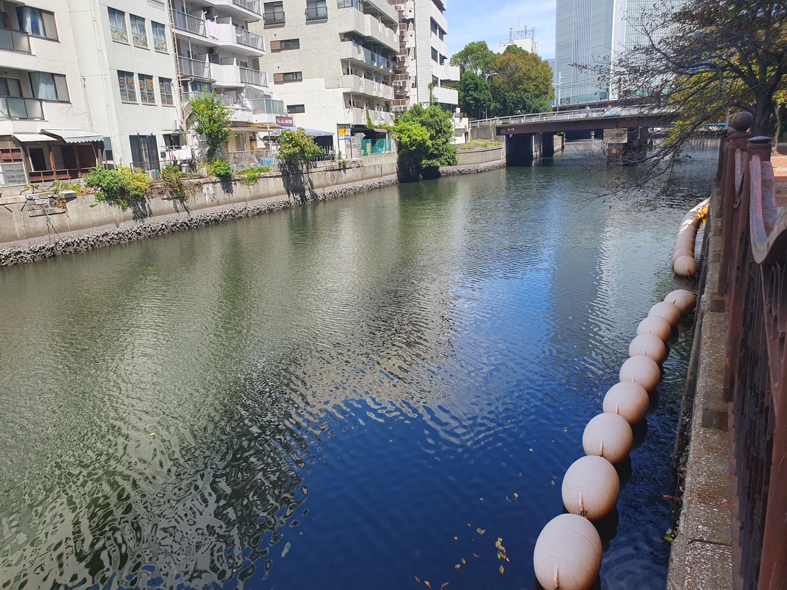 【横浜のハゼ釣り一級ポイント 大岡川】ハゼ釣りをしたら良型が連発
