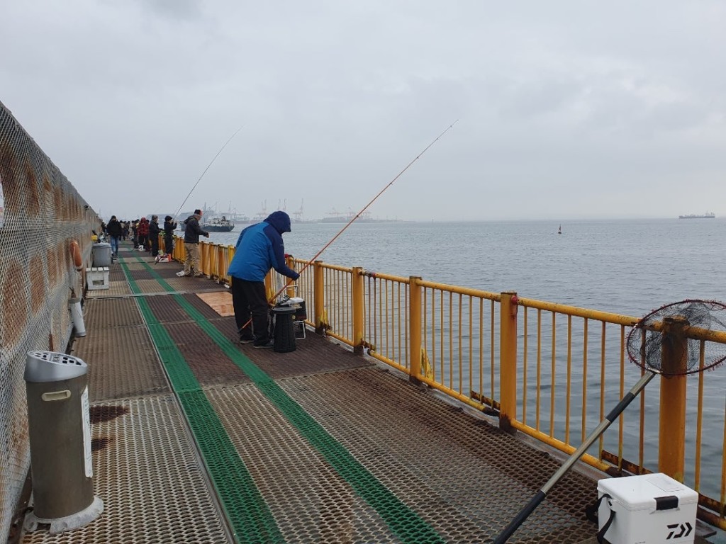 やっぱり来てしまった磯子海釣り施設　低水温の中でメジナを狙う！
