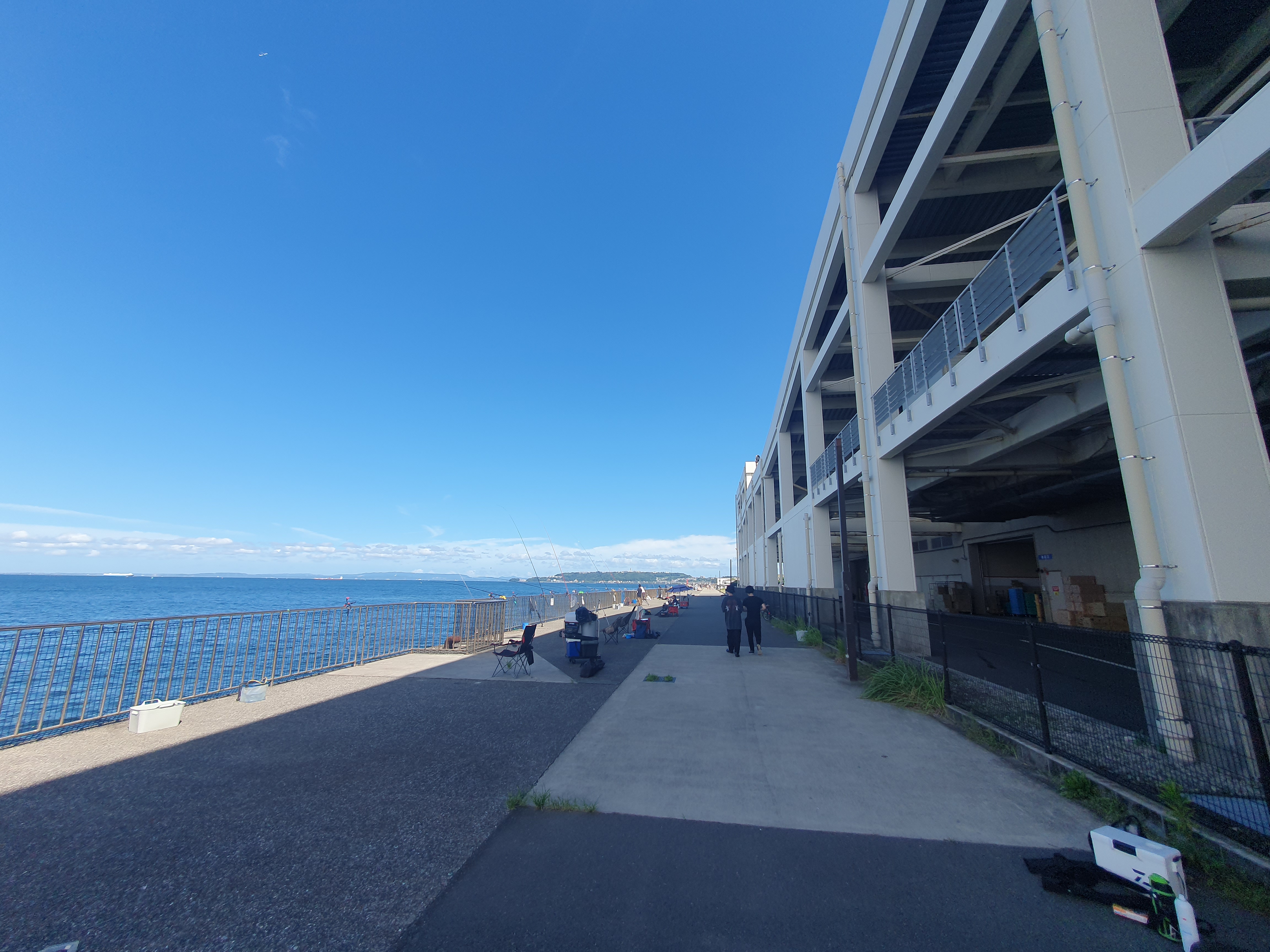横須賀 うみかぜ公園 釣り