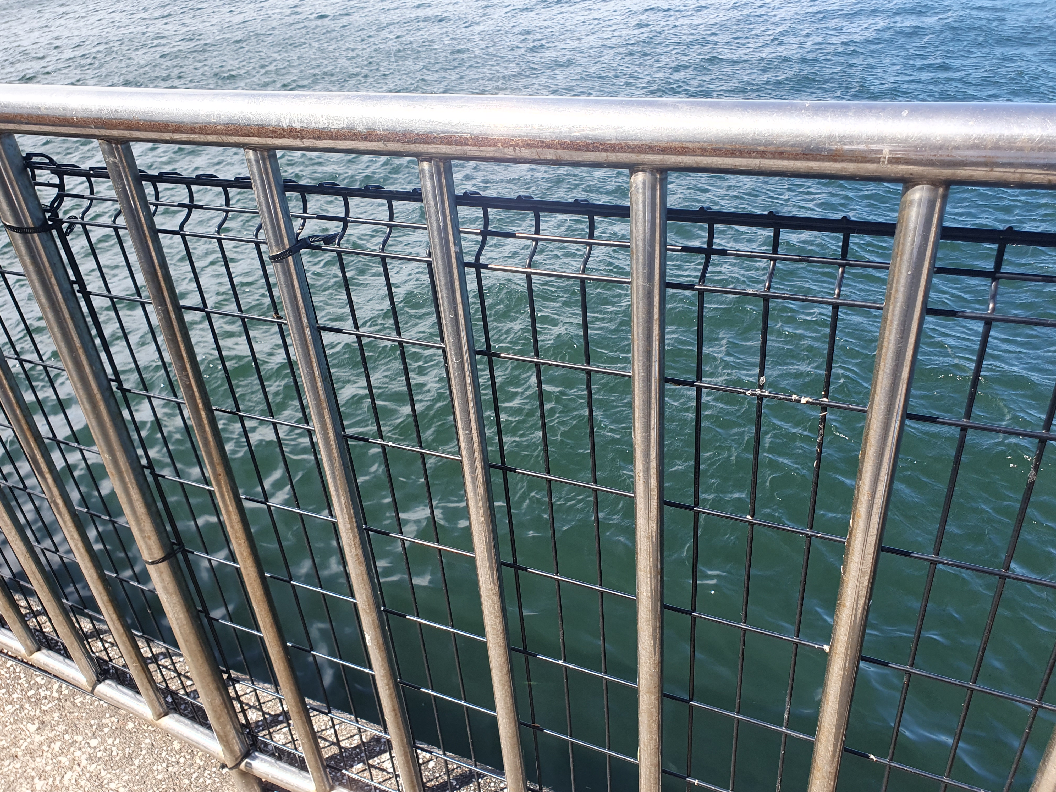 横須賀 うみかぜ公園 釣り