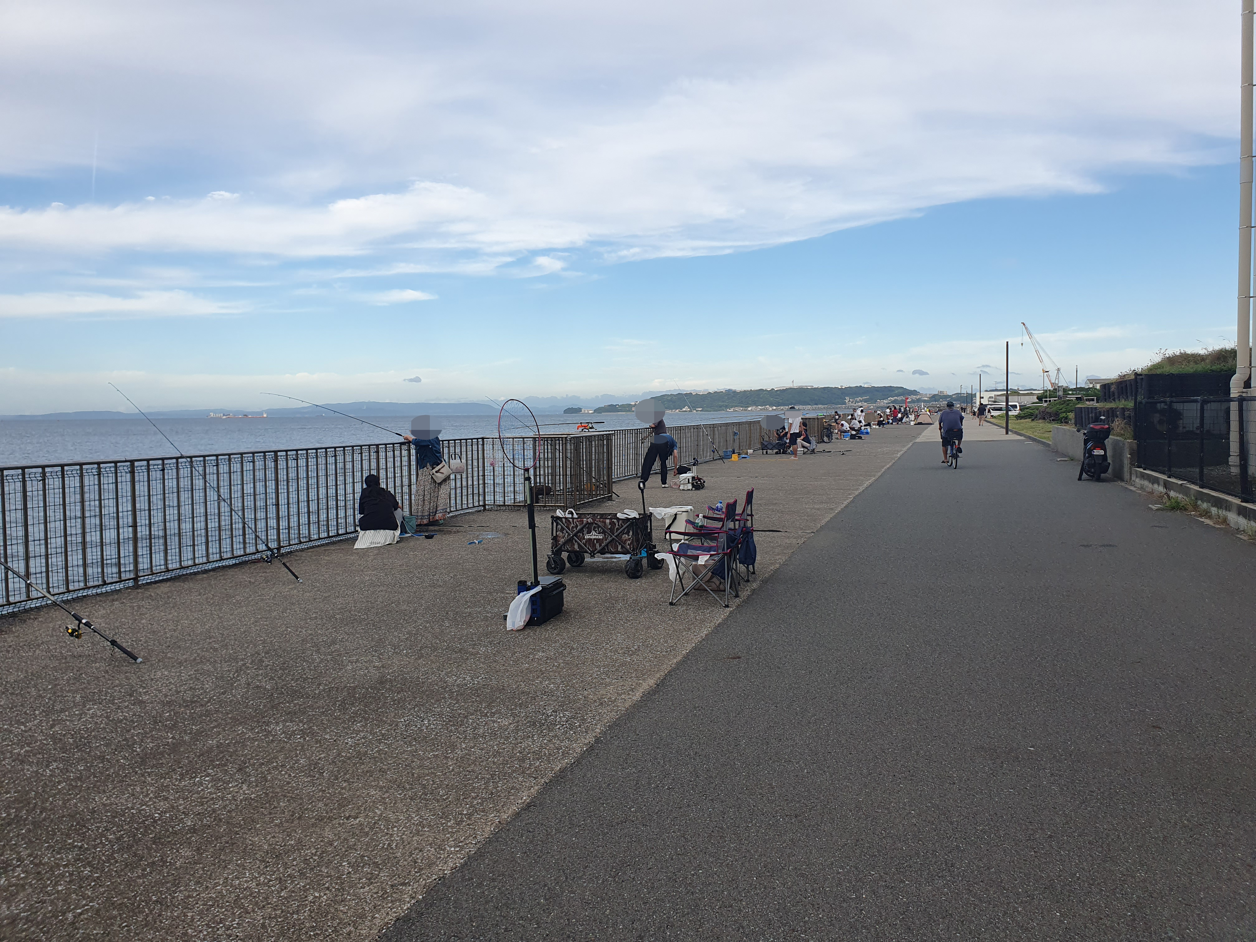 横須賀 うみかぜ公園 釣り