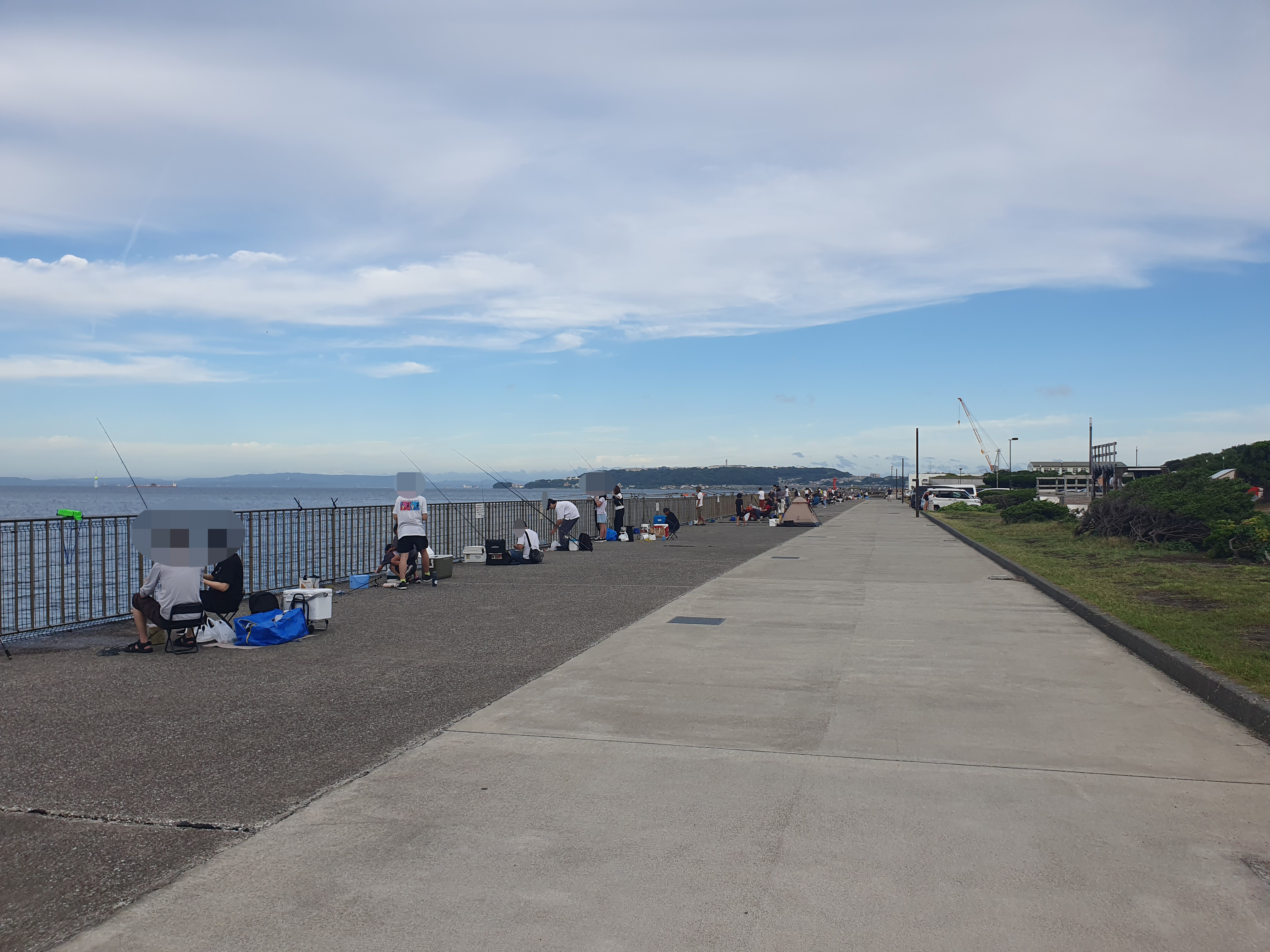 横須賀 うみかぜ公園 釣り