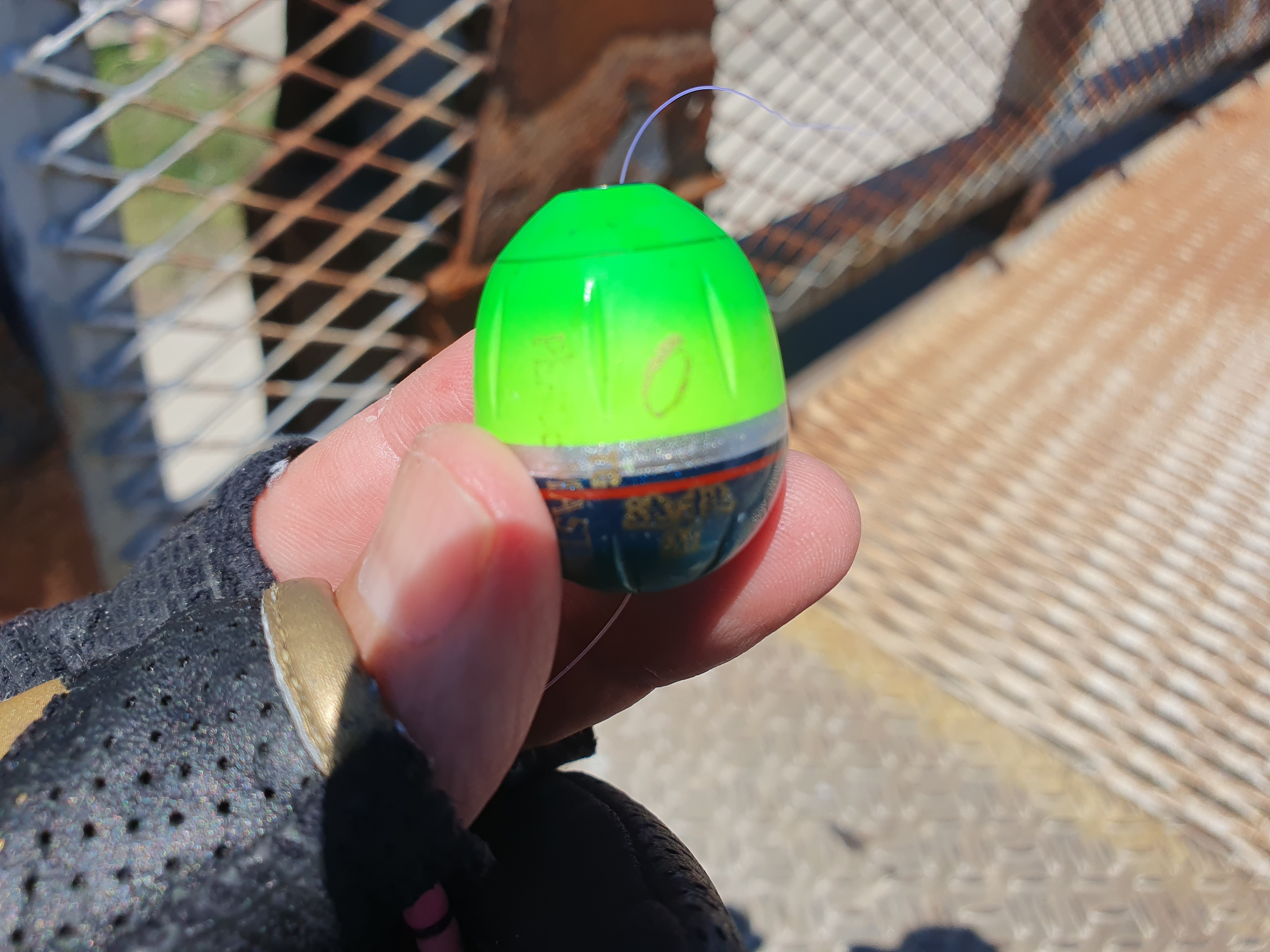 磯子海づり施設 釣り 横浜