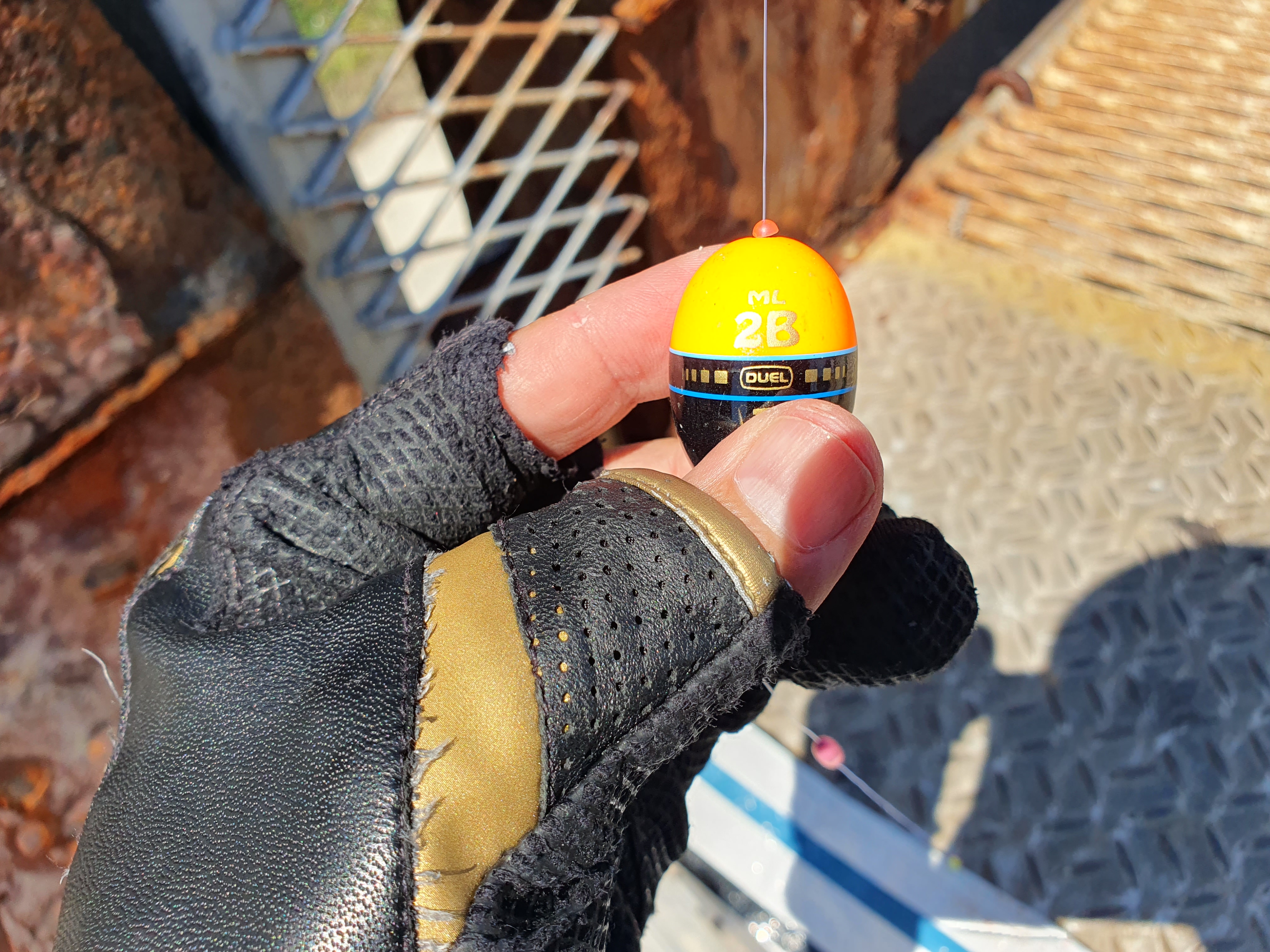 磯子海づり施設 釣り 横浜