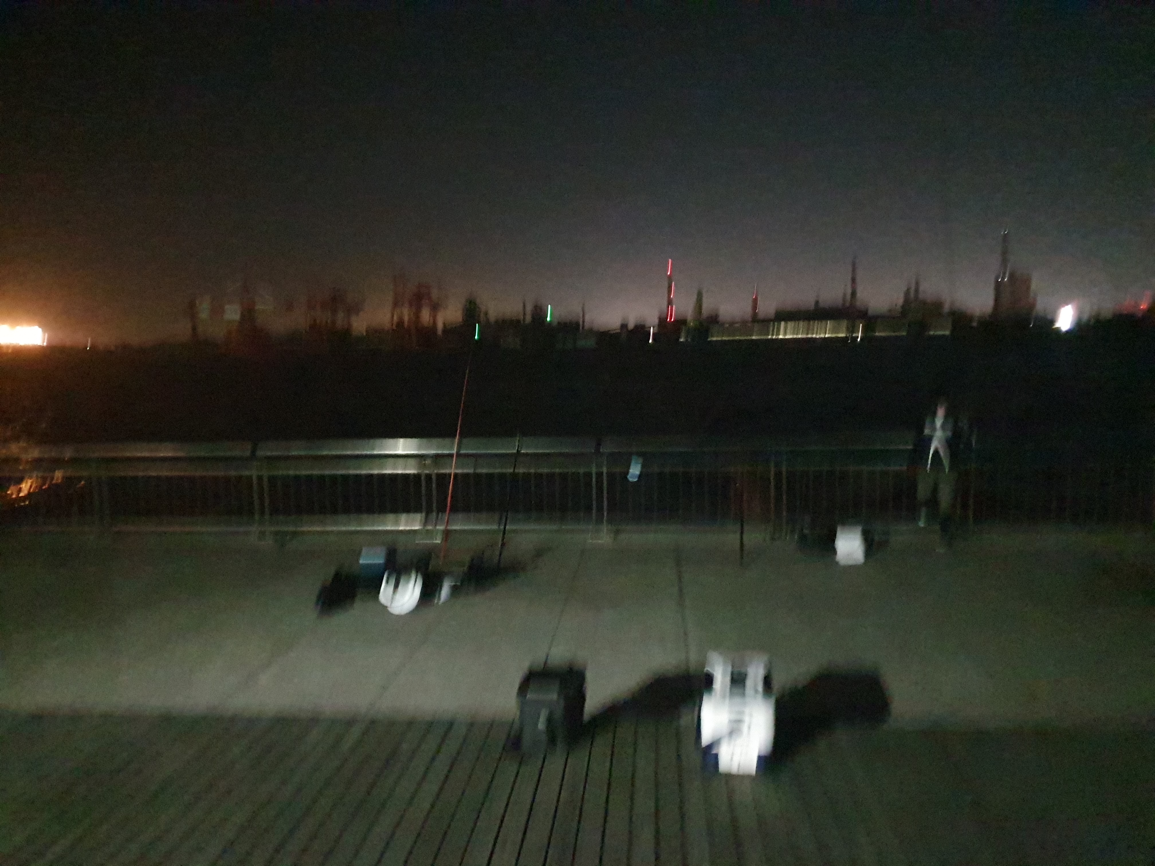 東扇島西公園 釣り 夜釣り