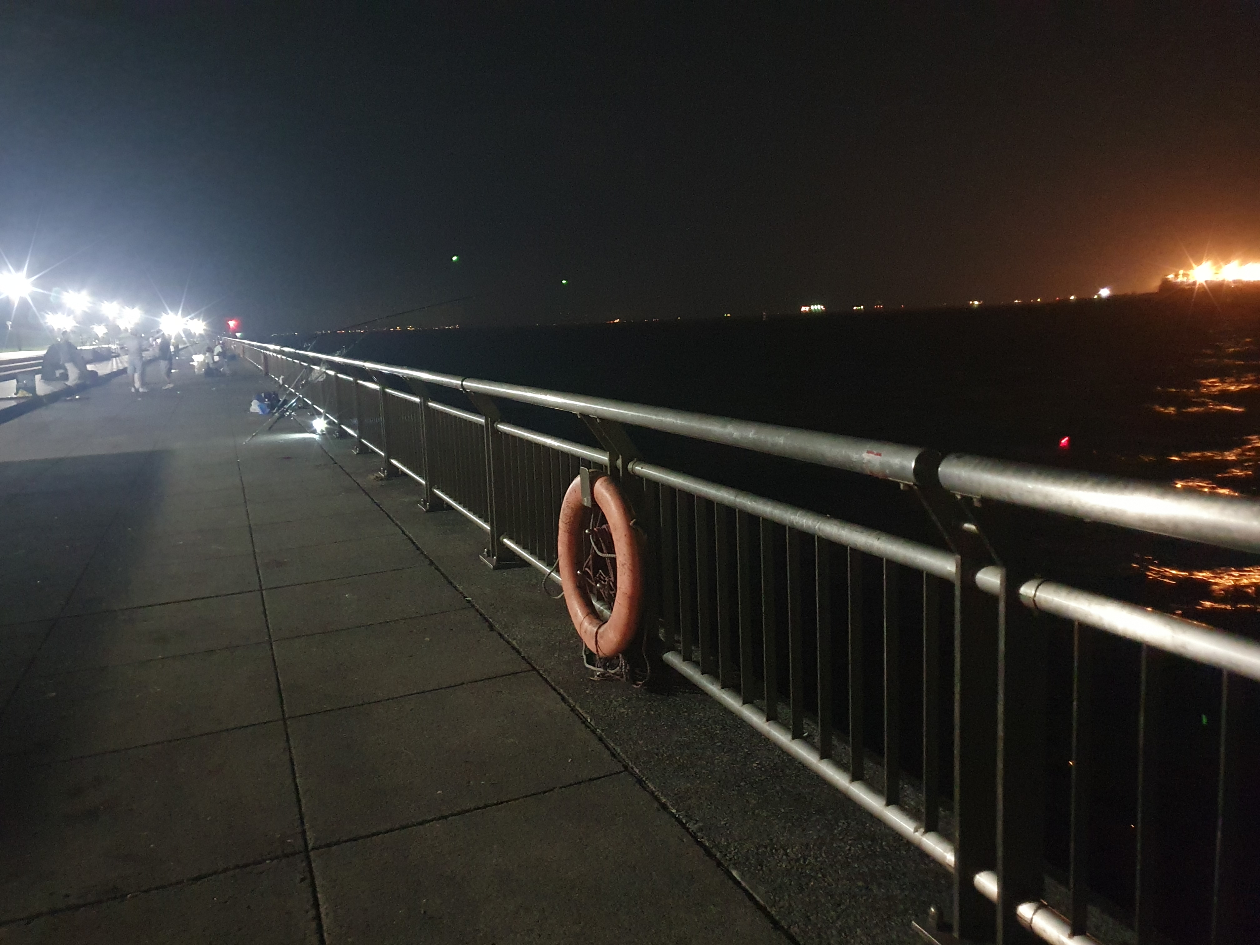 東扇島西公園 釣り 夜釣り