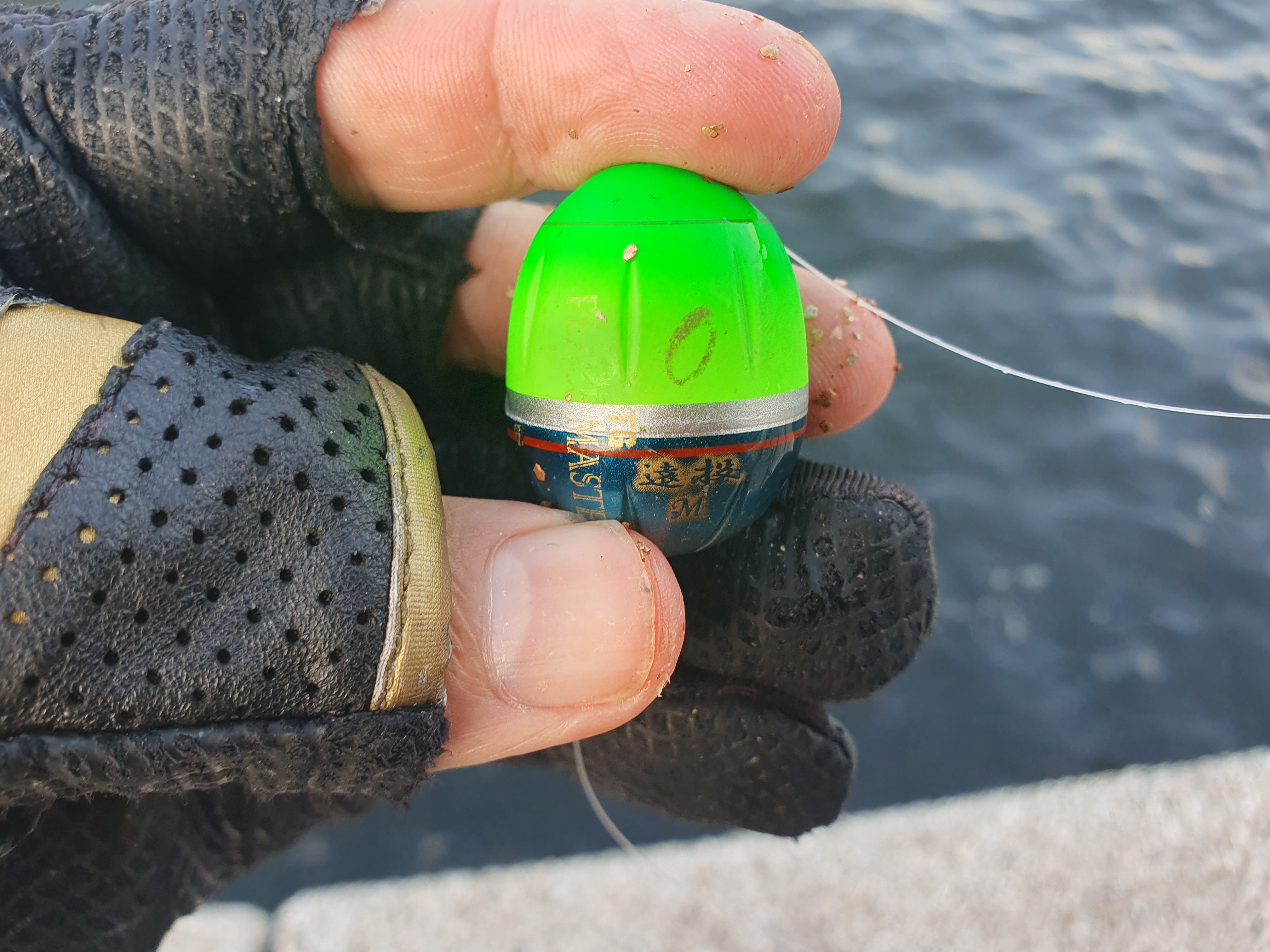 東扇島西公園 釣り 夜釣り