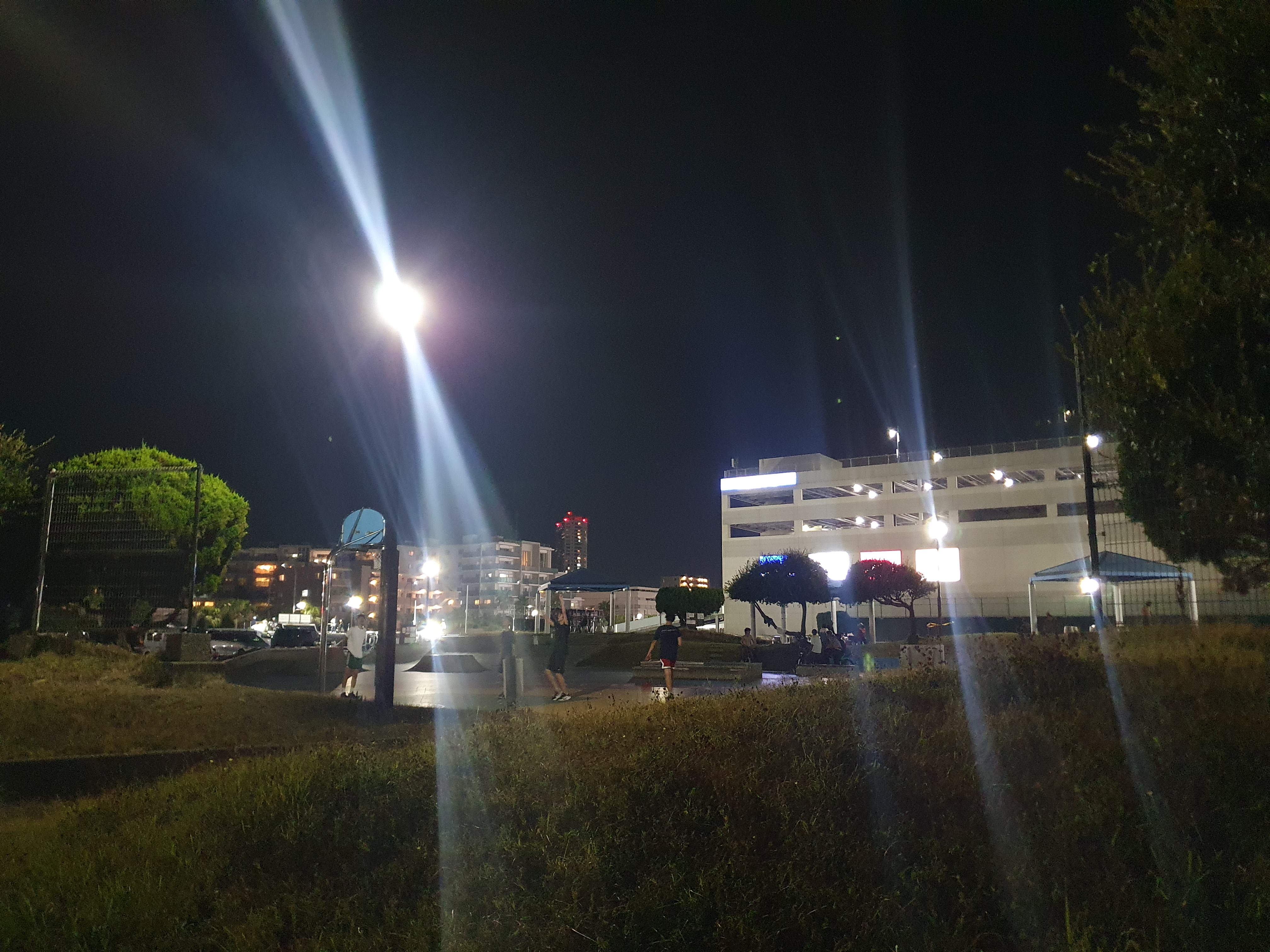 横須賀 うみかぜ公園 釣り 太刀魚