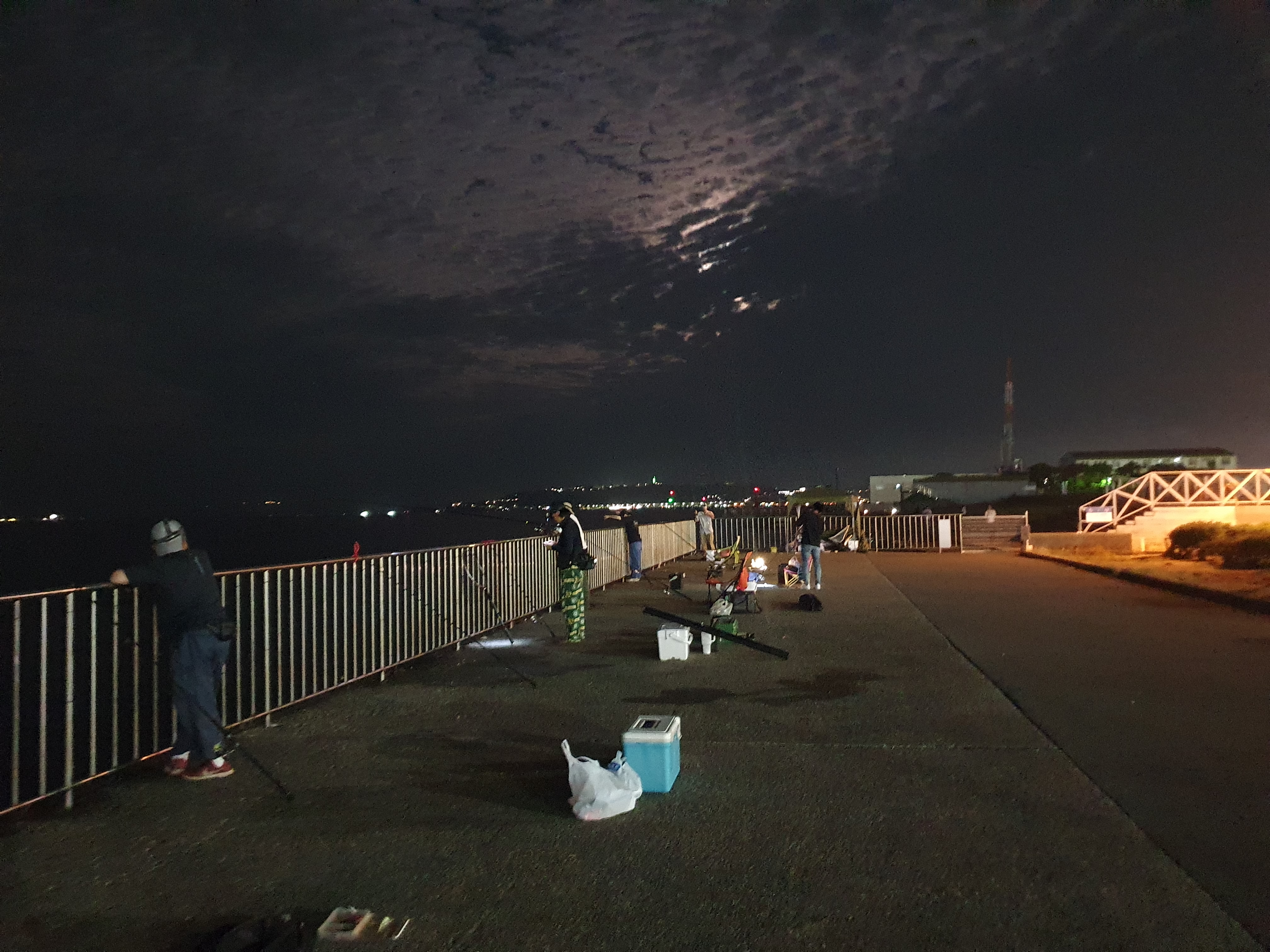 横須賀 うみかぜ公園 釣り 太刀魚
