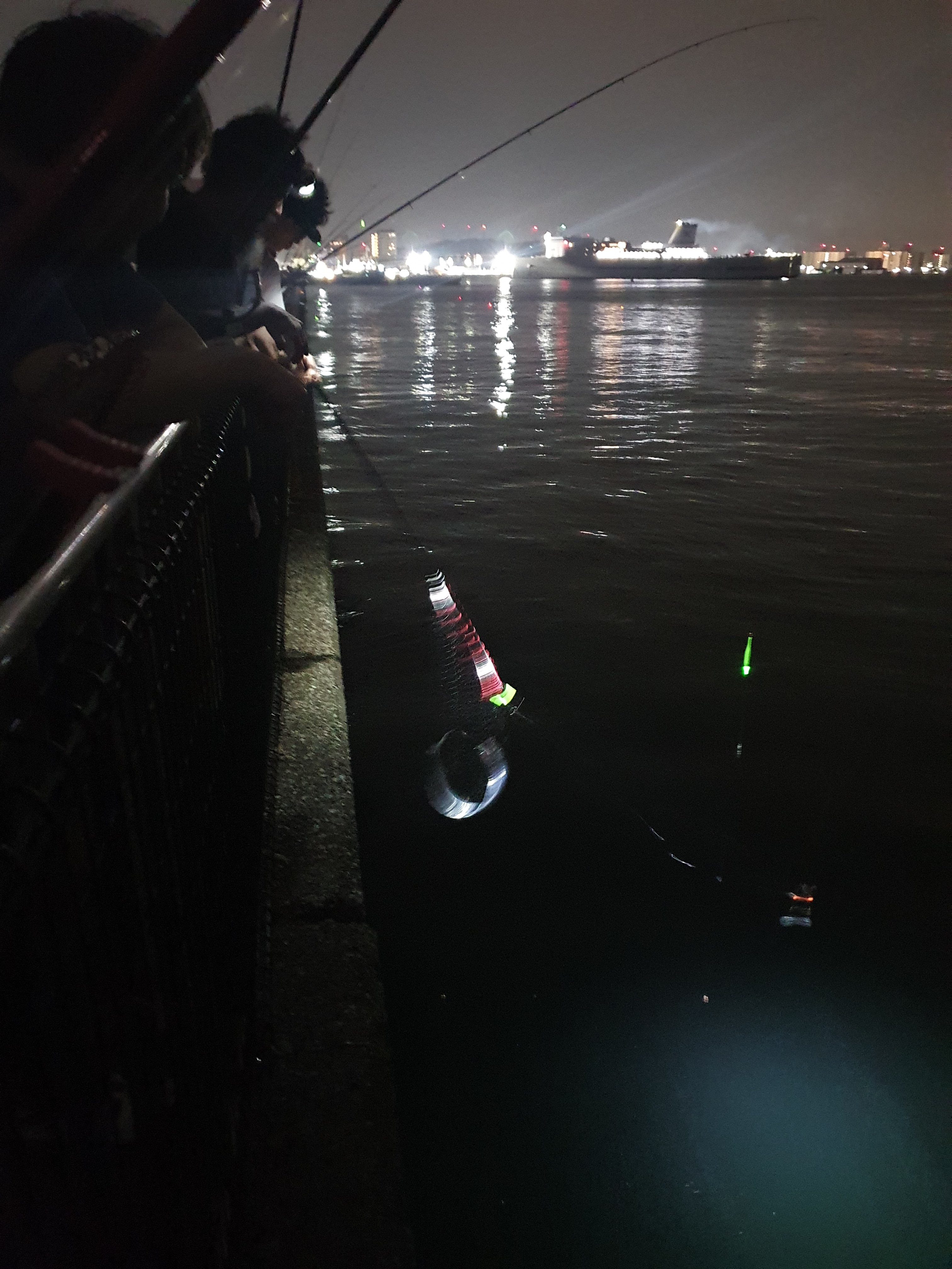 横須賀 うみかぜ公園 釣り 太刀魚