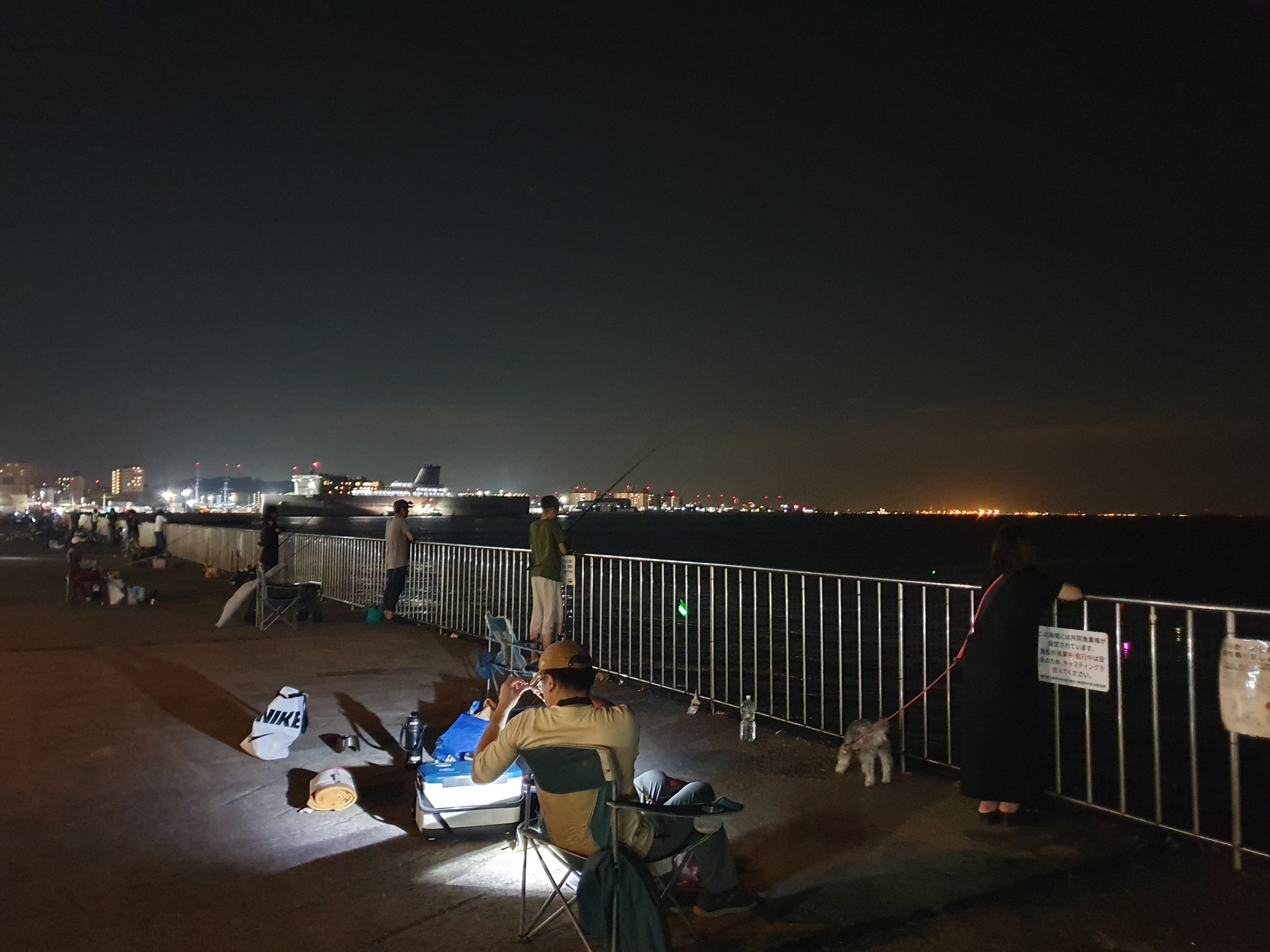 うみかぜ公園 夜釣り