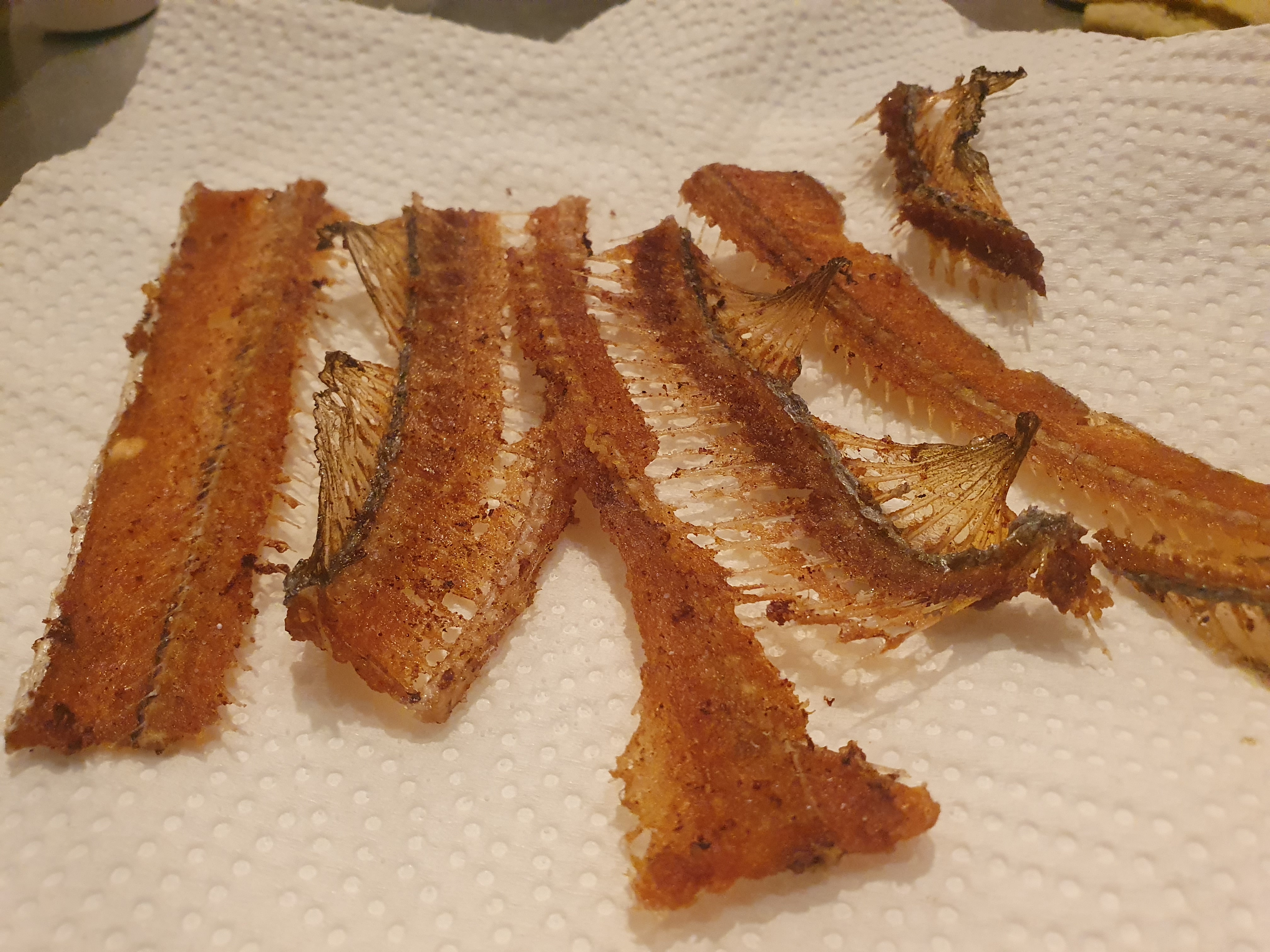  横須賀うみかぜ公園 太刀魚 テンヤ 包ワーム