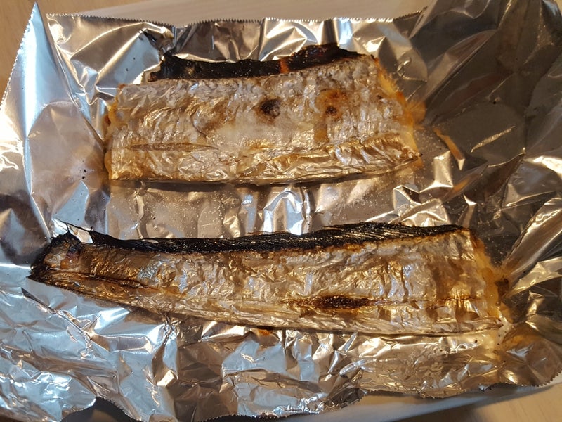 磯子海づり施設 夕まづめにジギングで太刀魚が釣れた