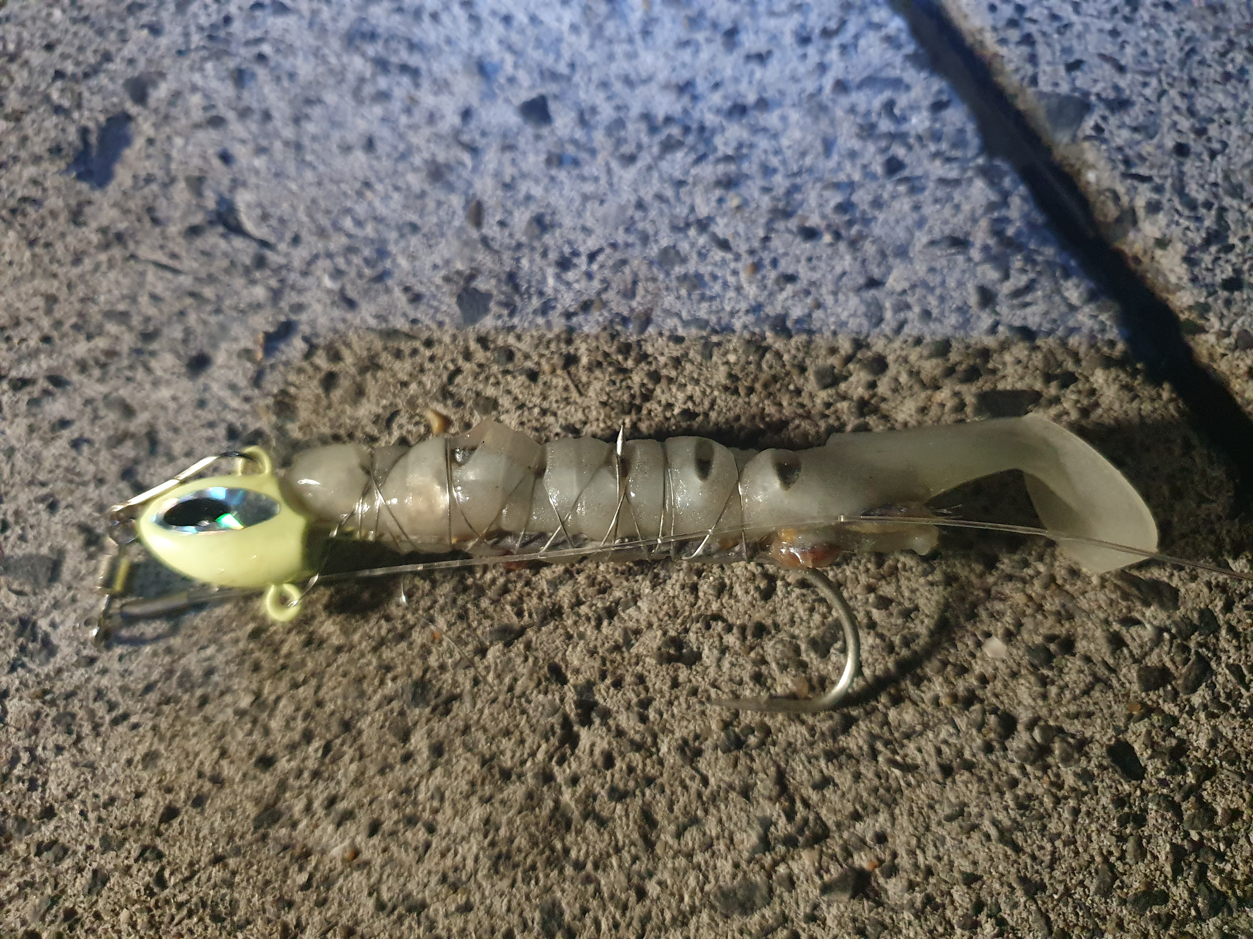 東扇島西公園　釣り　太刀魚