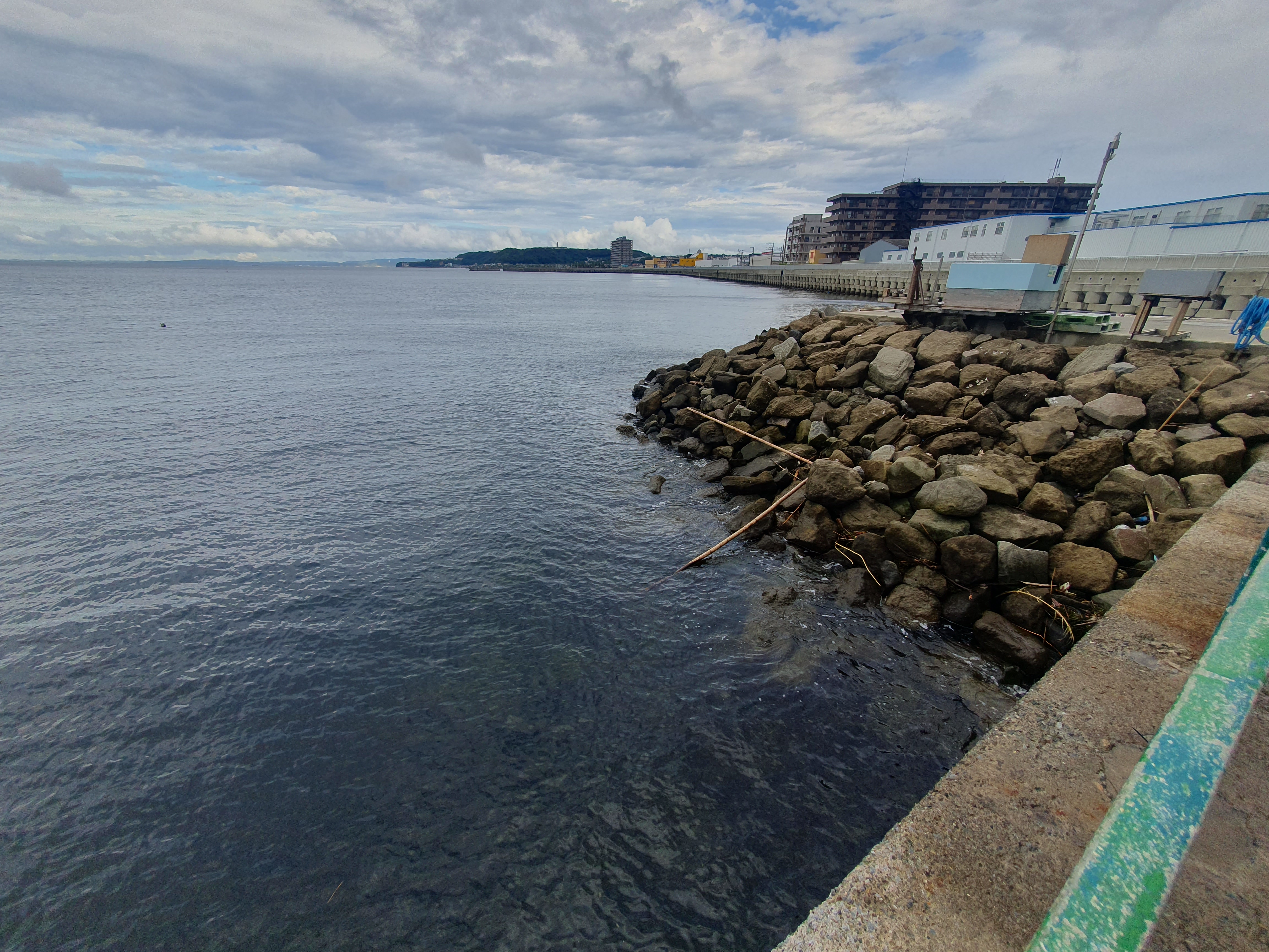 海辺つり公園 横須賀