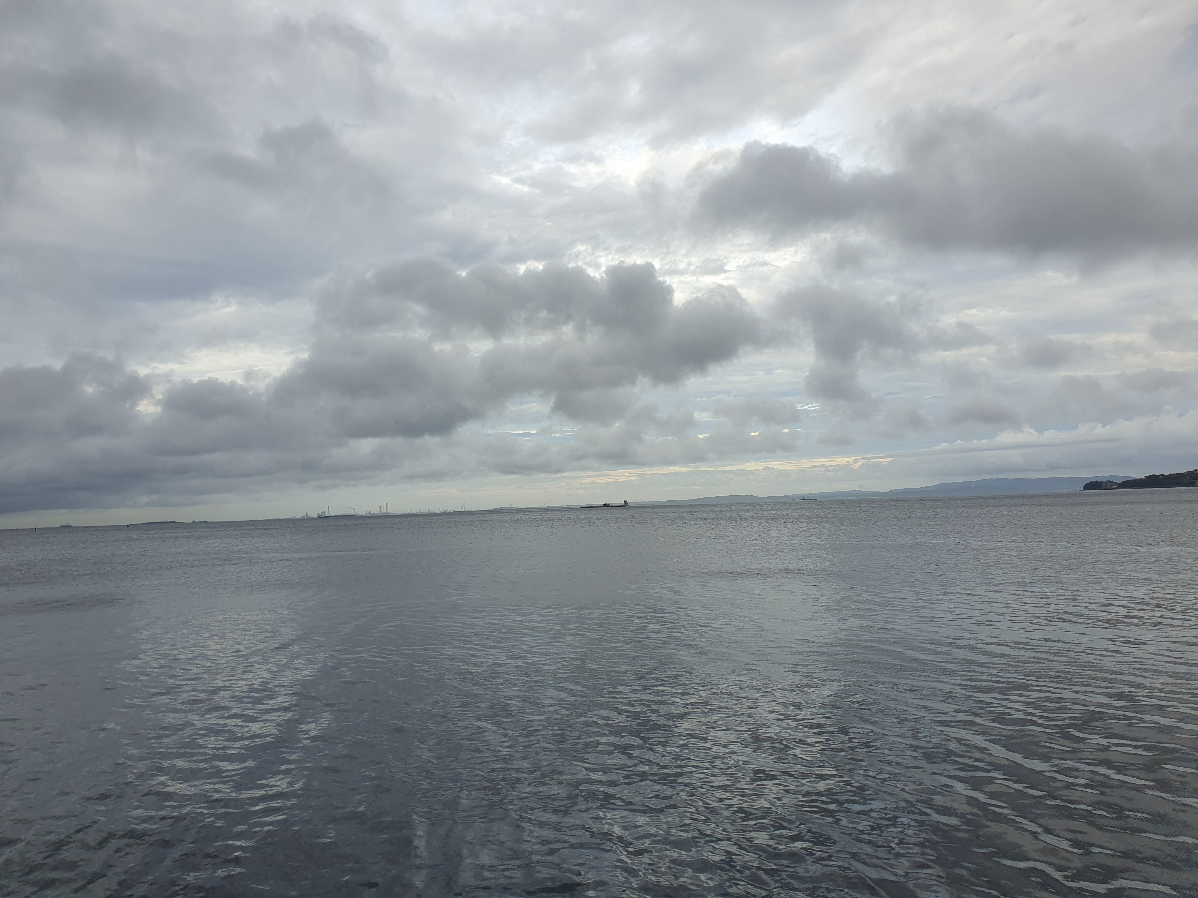 海辺つり公園 横須賀