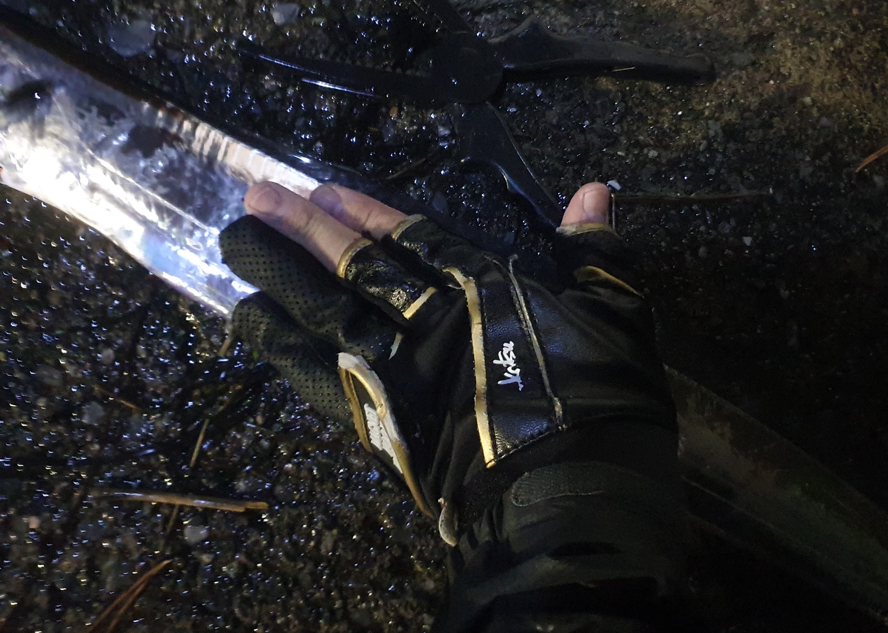 海辺つり公園 横須賀 太刀魚