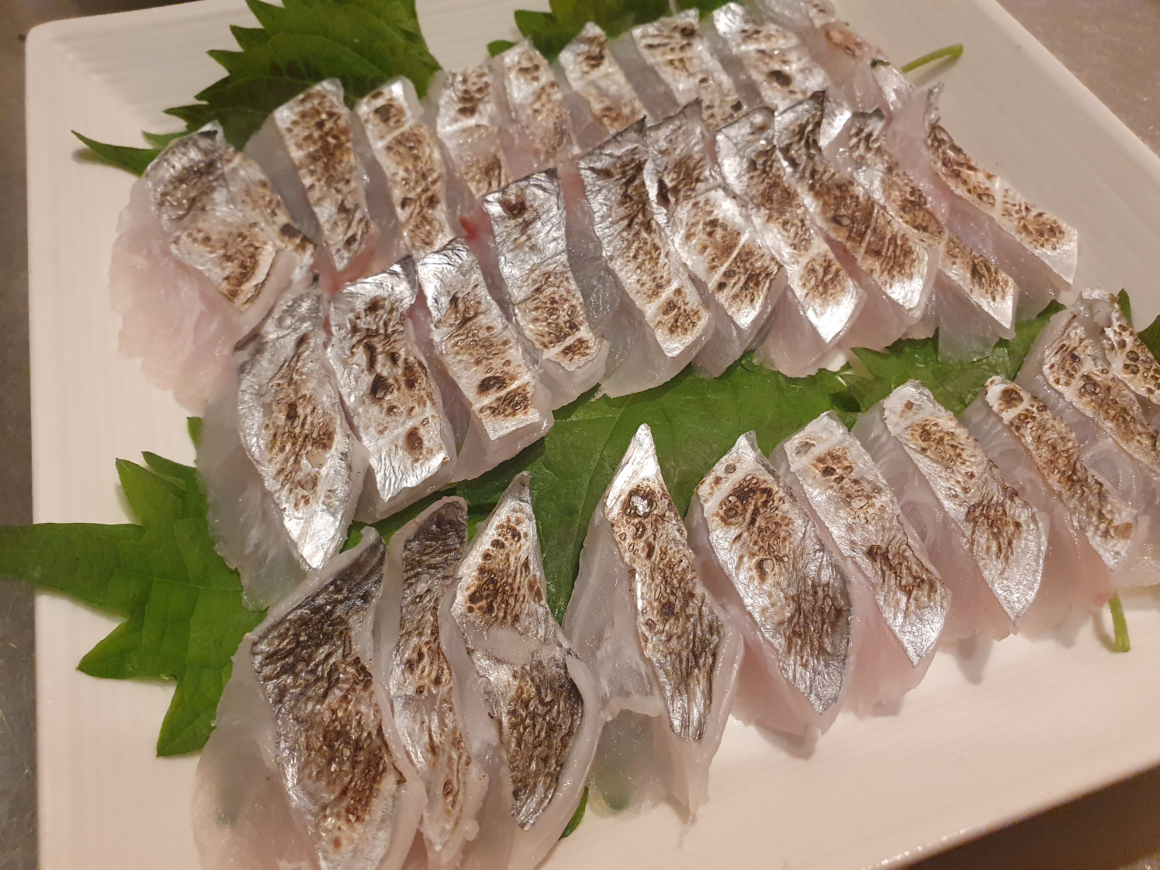 海辺つり公園 横須賀 太刀魚