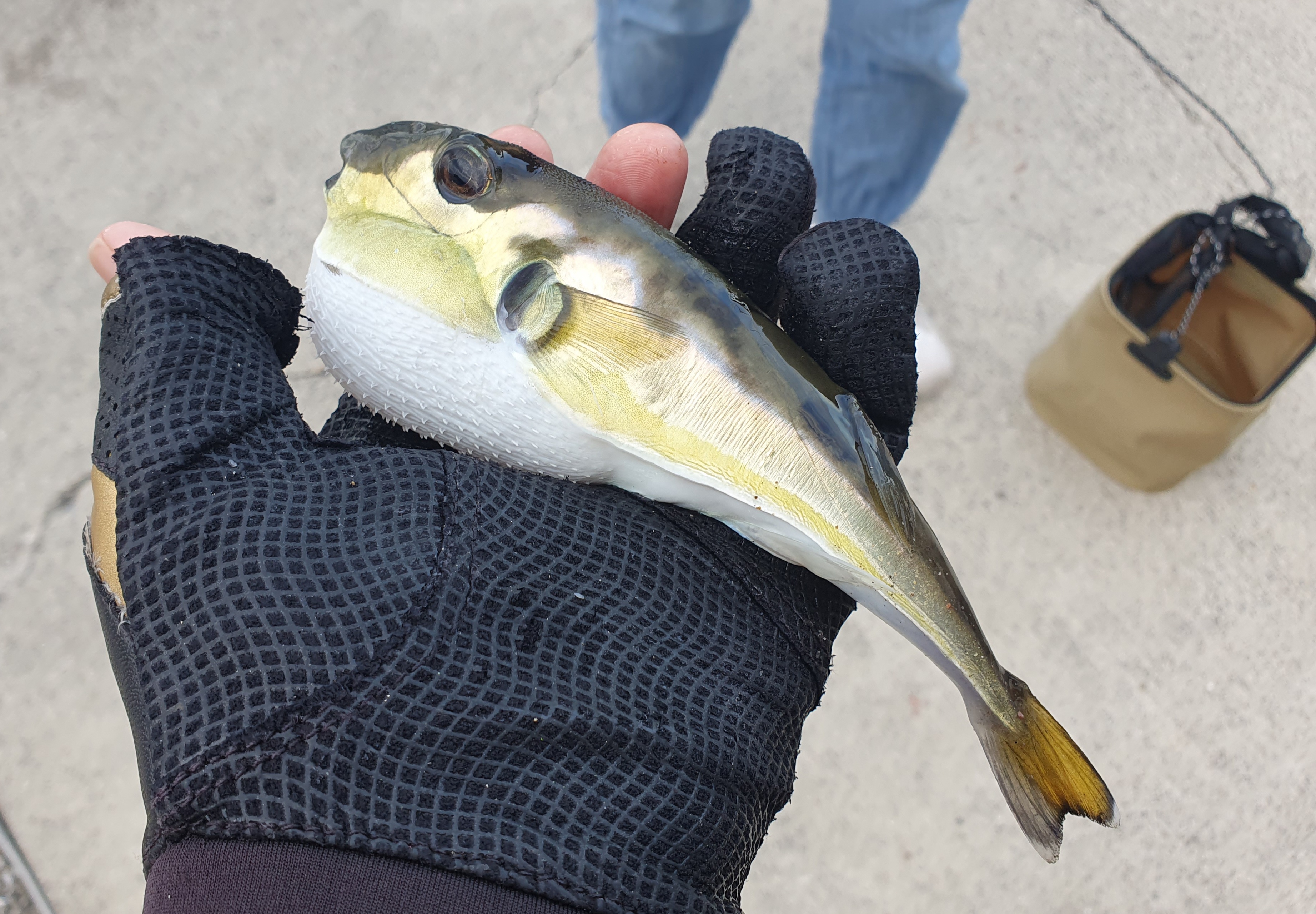 うみかぜ公園 横須賀