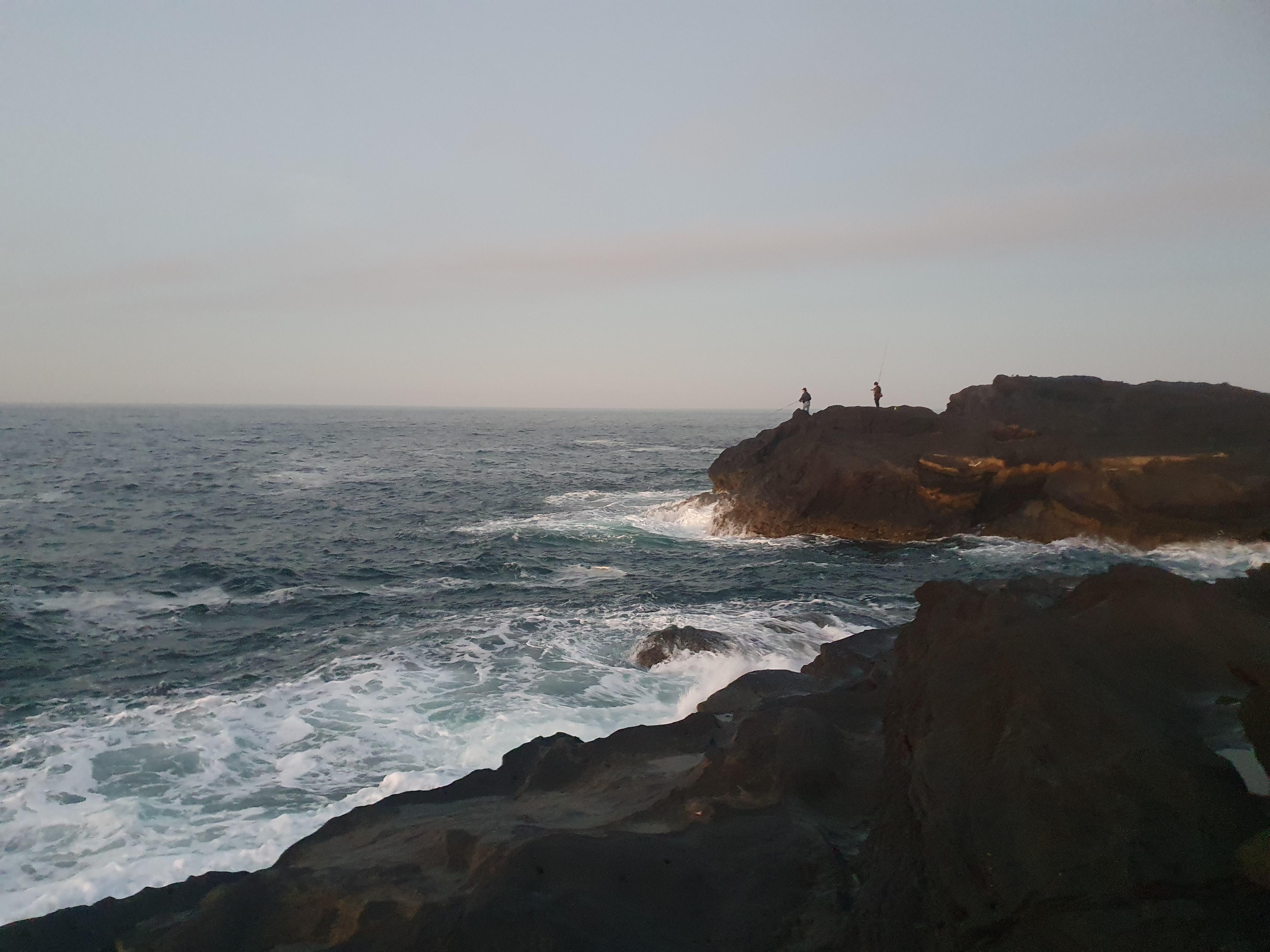 城ヶ島　ヒナダン