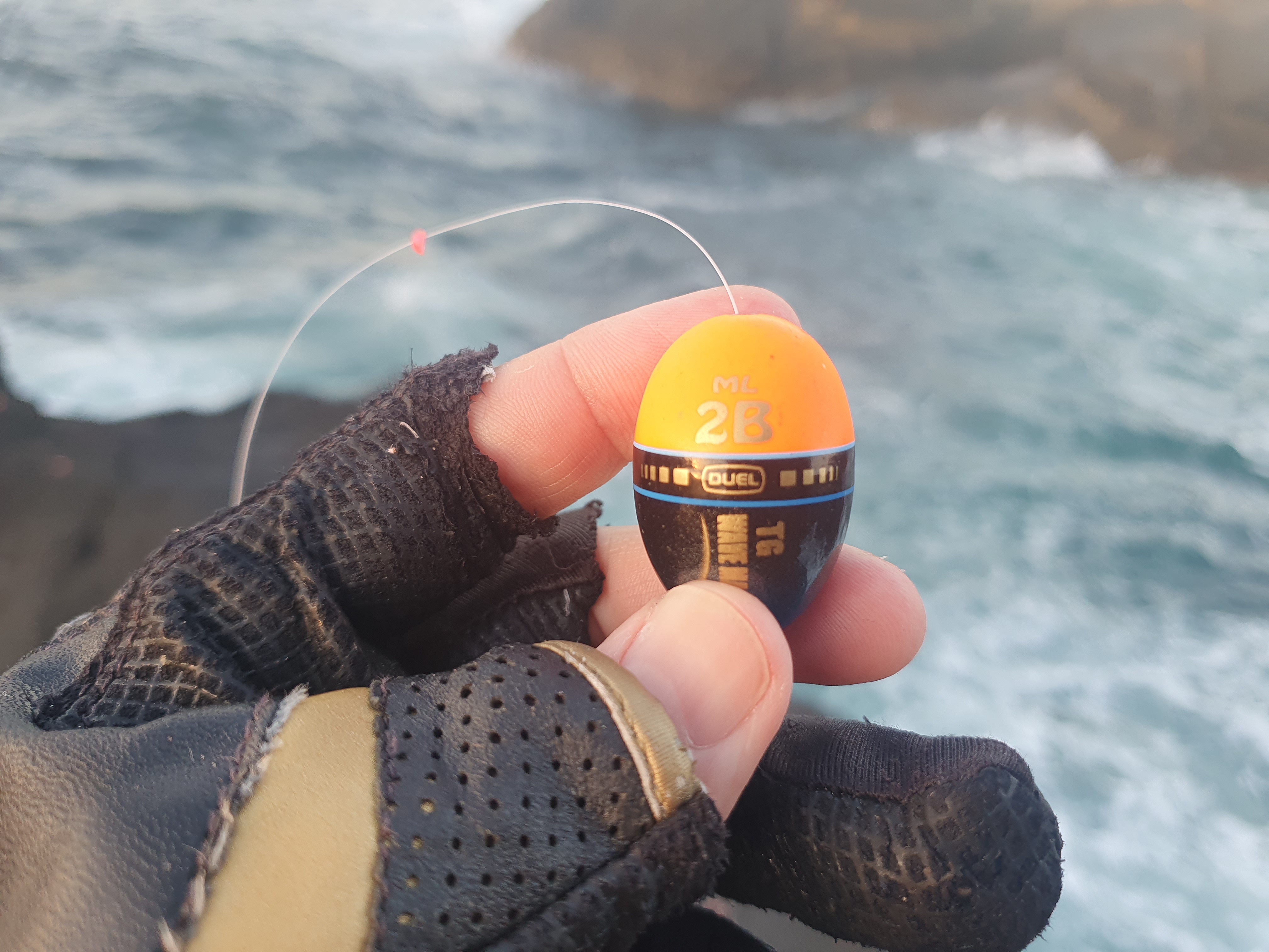 城ヶ島　ウキフカセ釣り