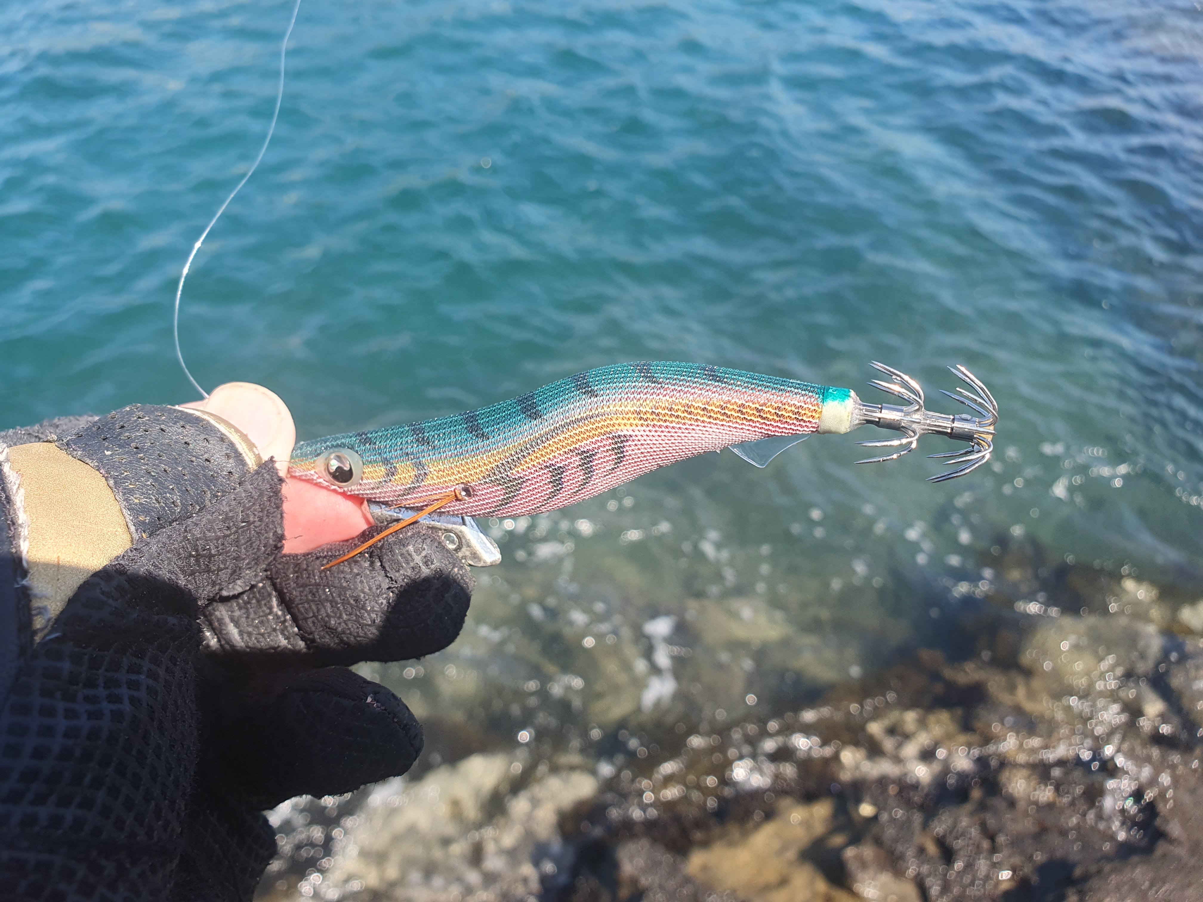 城ヶ島　エギング