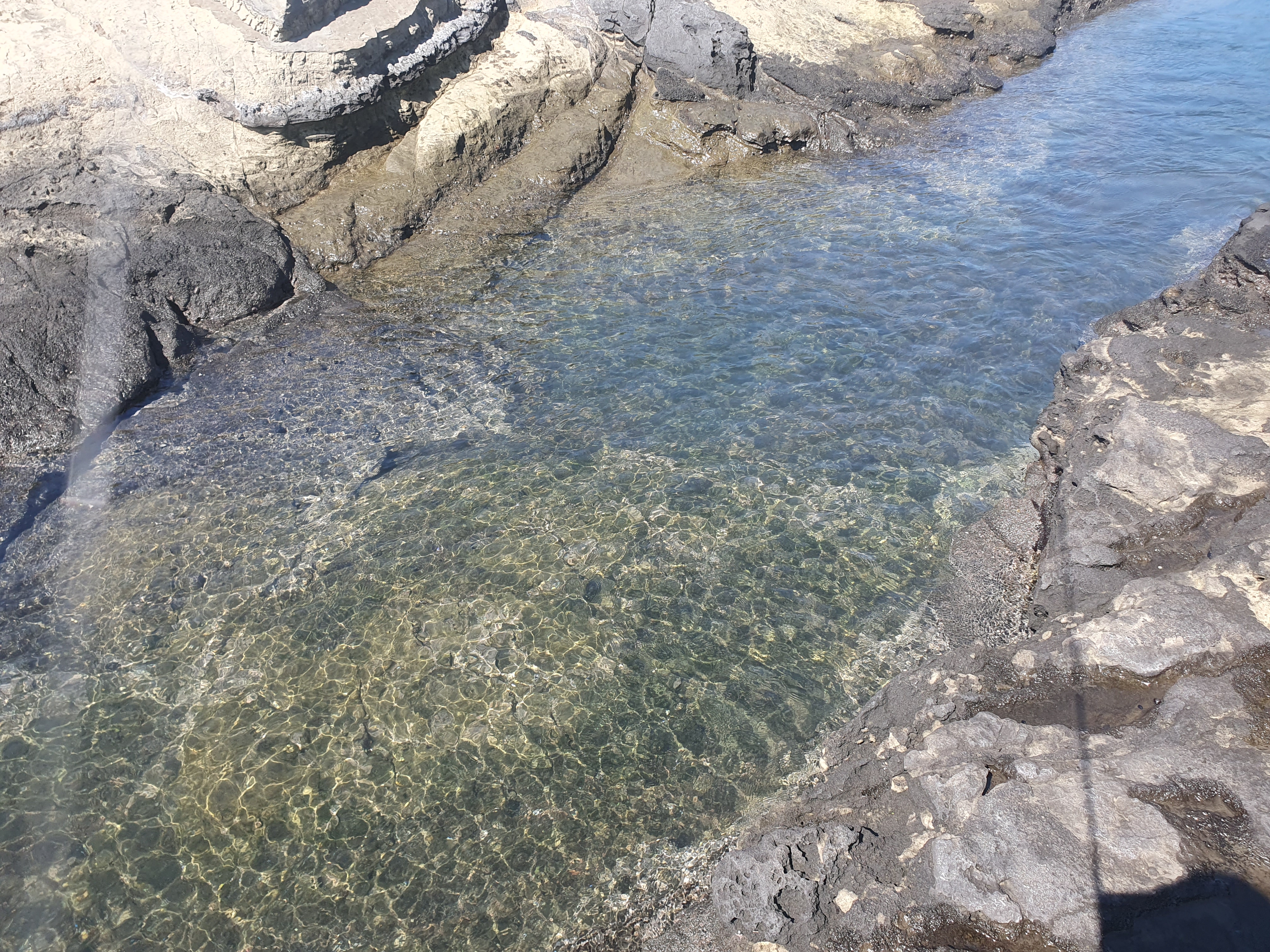 【城ケ島ヒナダン】アイゴ・木っ端の猛攻から良型尾長グレ捕獲！！？