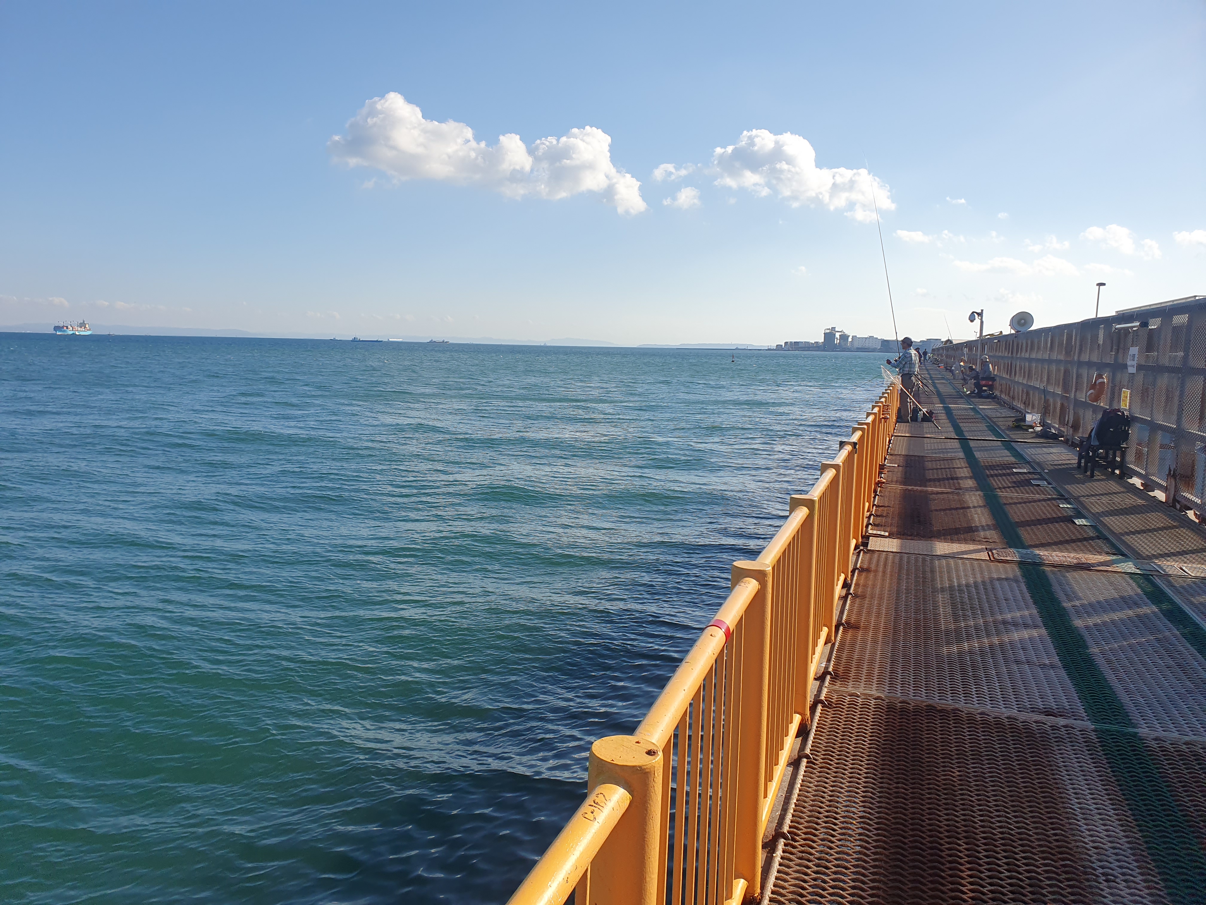 ついに40cmオーバーが出た！！時合は閉場間際！！磯子海づり施設