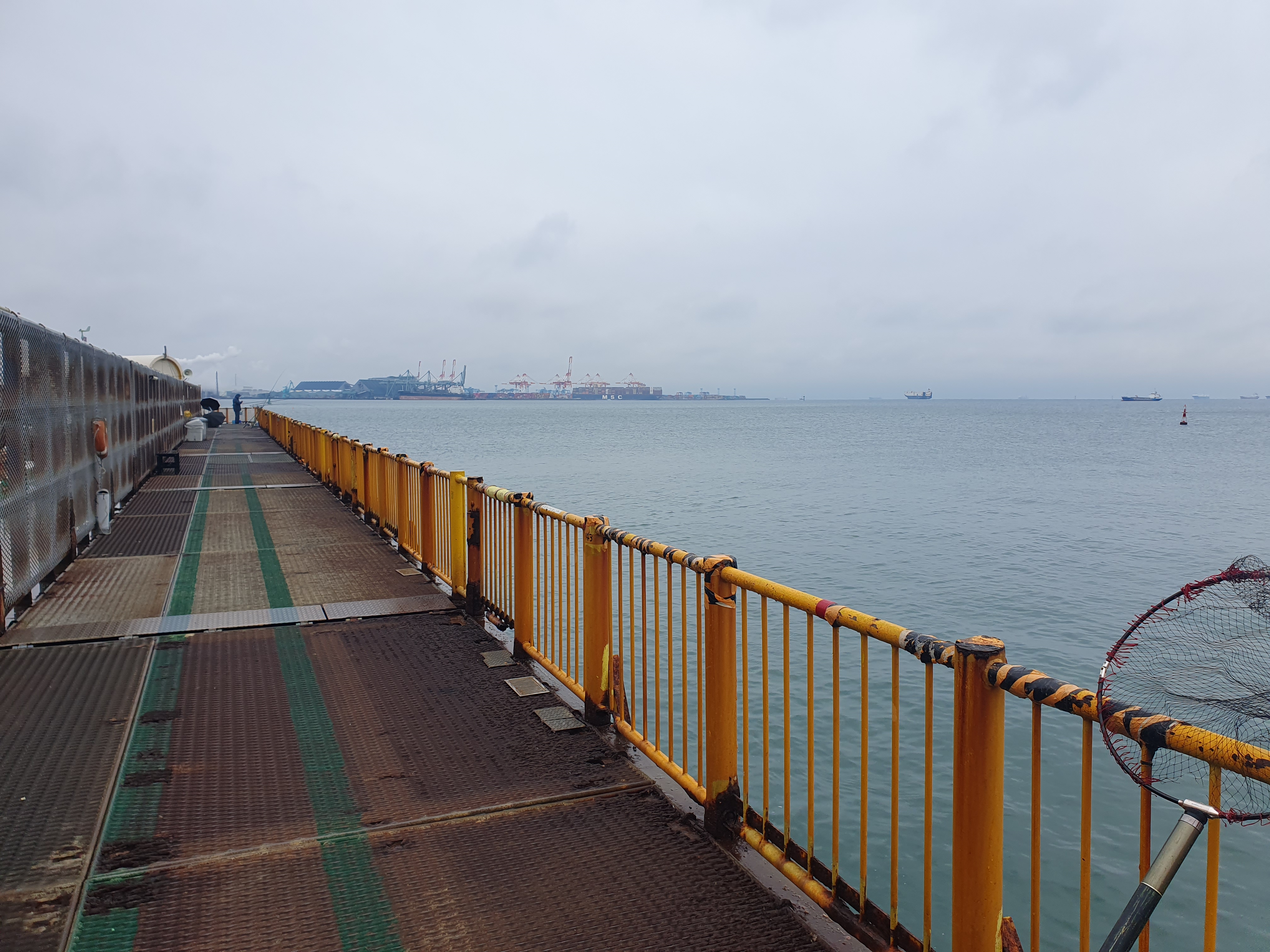 磯子海づり施設 釣り メジナ アジ 横浜