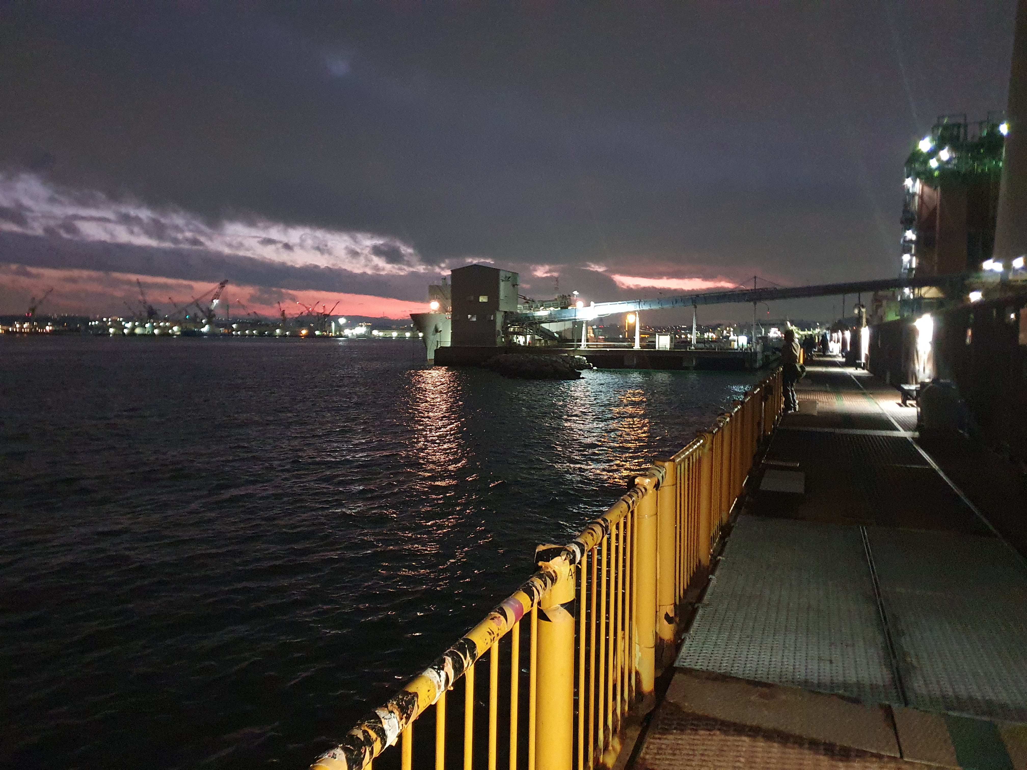 磯子海づり施設 釣り メジナ アジ 横浜