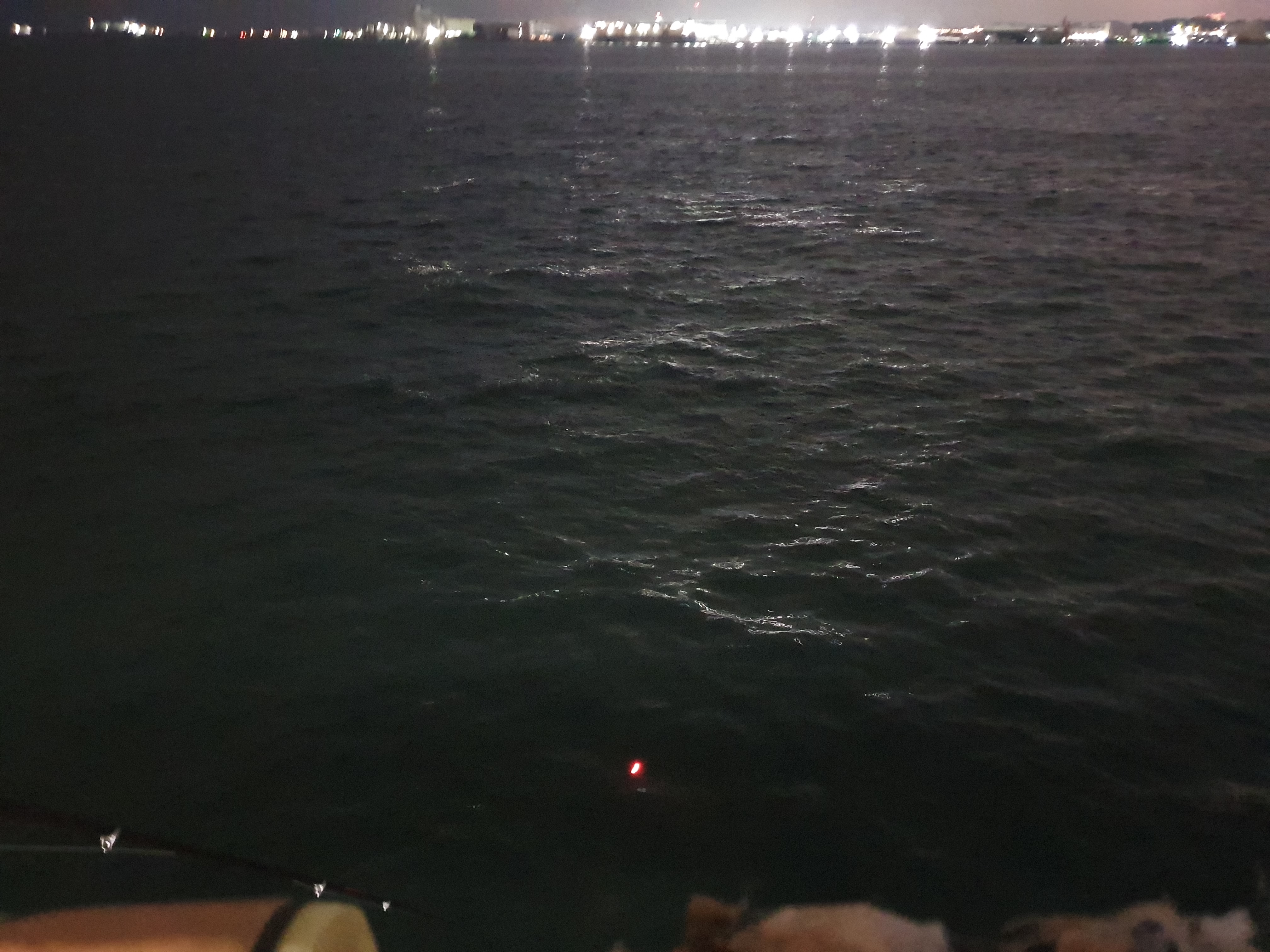 磯子海づり施設 釣り メジナ アジ 横浜