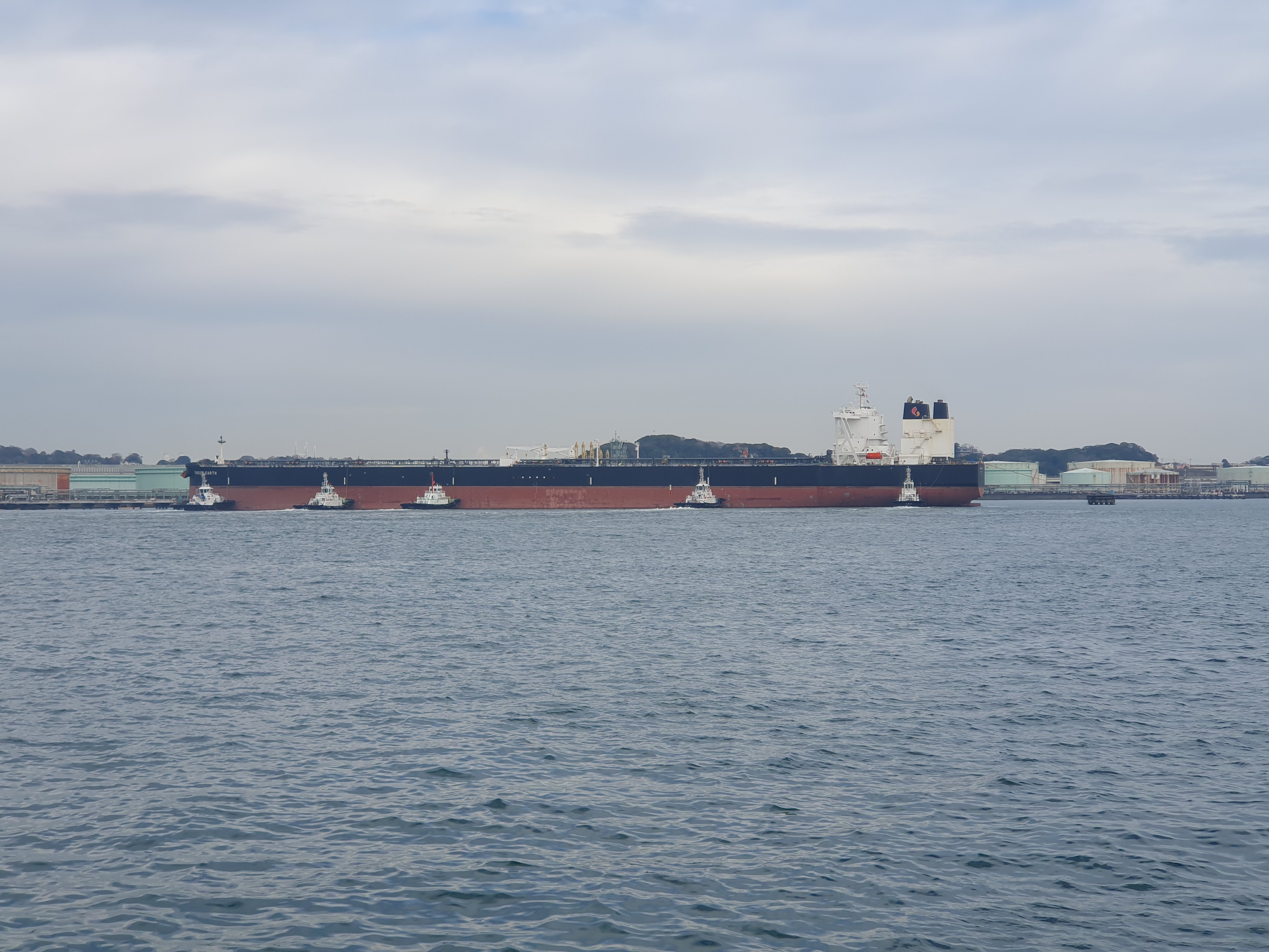 磯子海づり施設 釣り メジナ ウキフカセ釣り