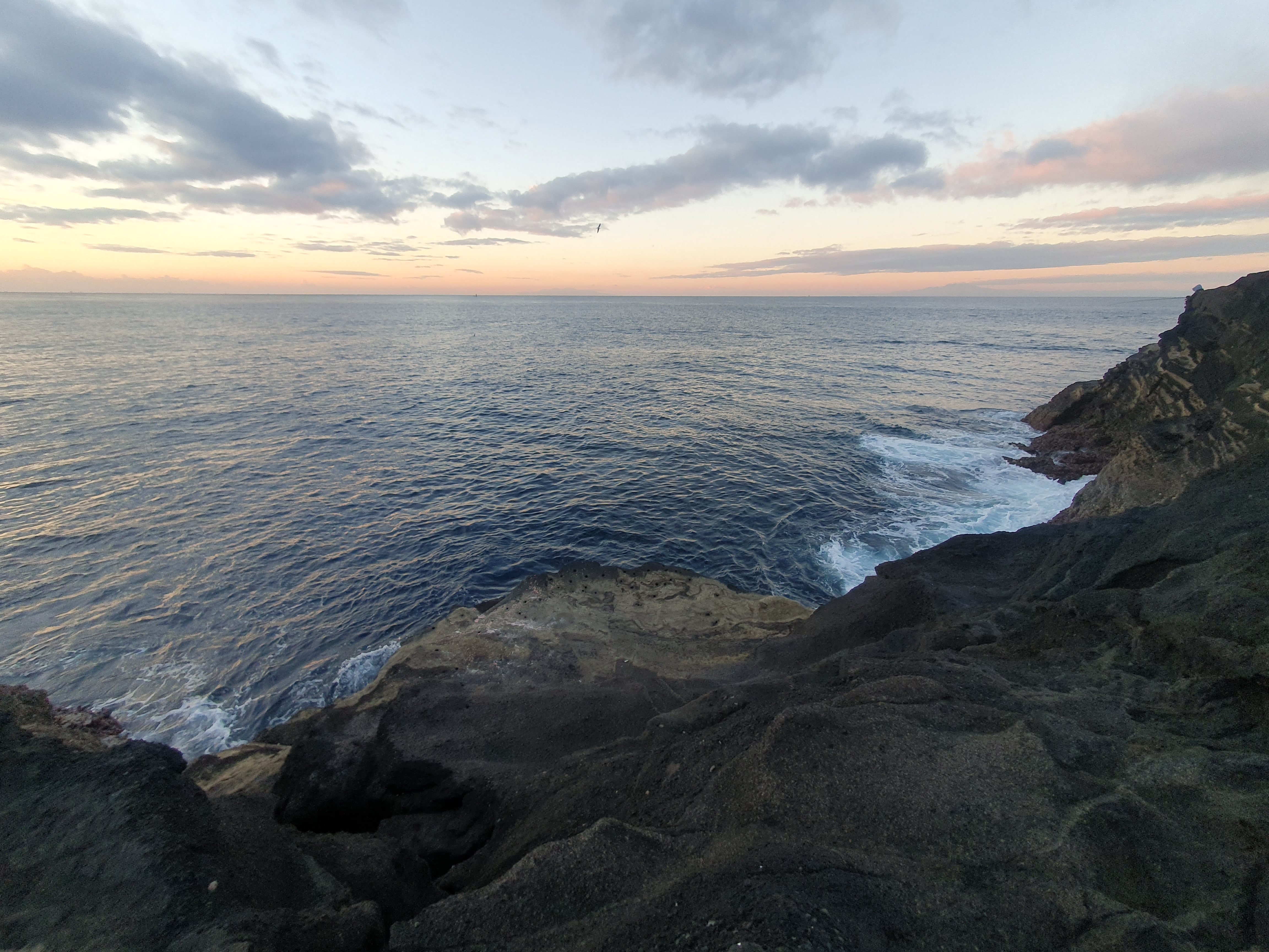【城ケ島四畳半】2025年釣り納め モンスターバトルで締めくくる！！