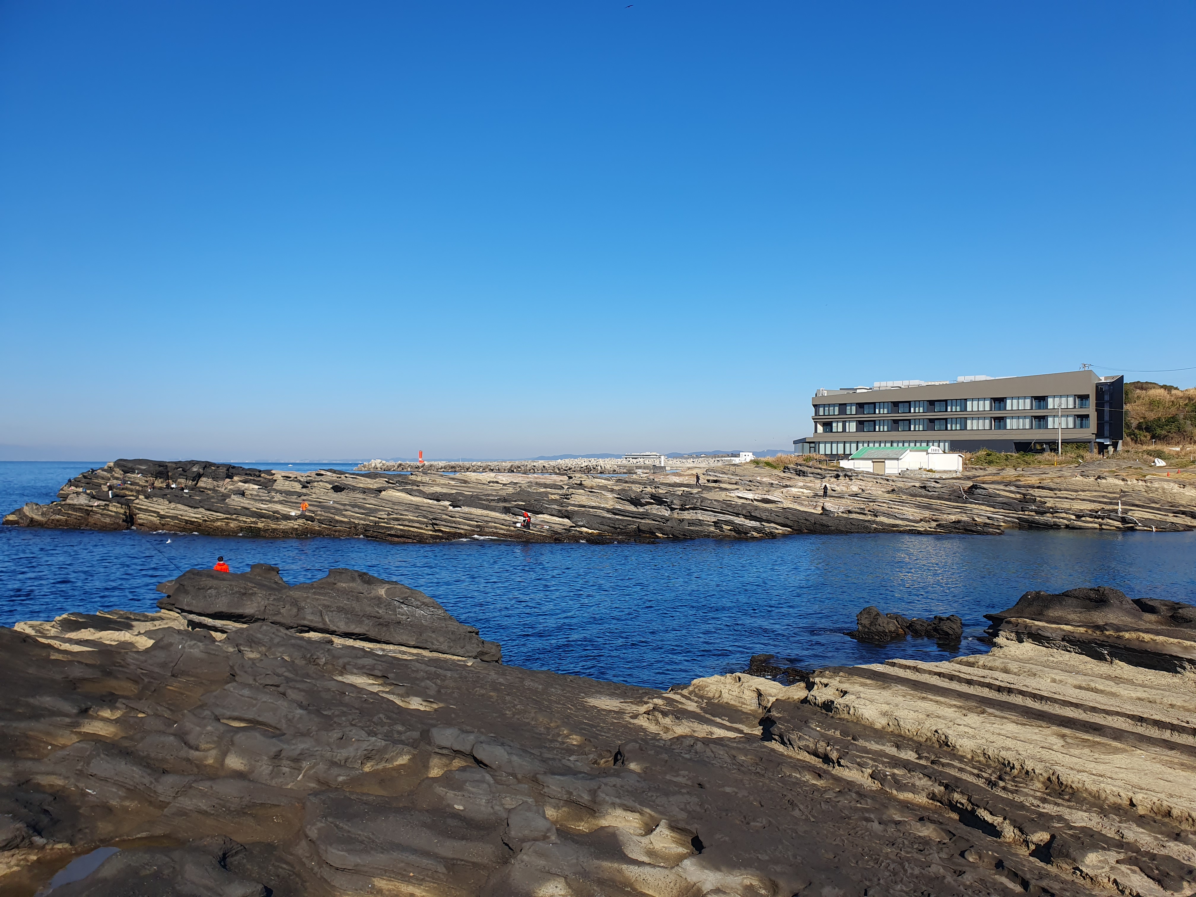 【城ケ島四畳半】2025年釣り納め モンスターバトルで締めくくる！！