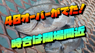 謹賀新年！！2025年釣行を振り返って