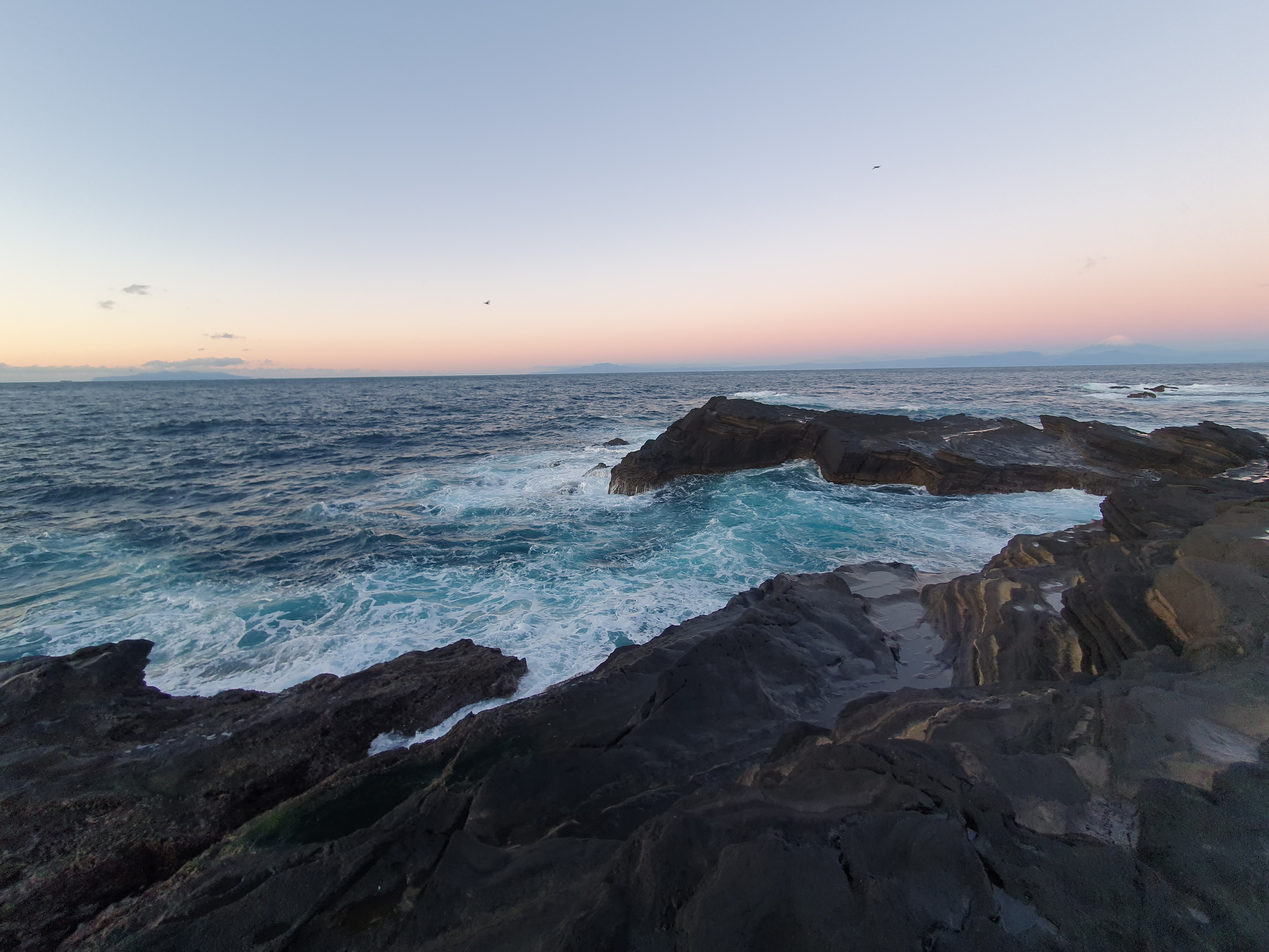 城ヶ島釣り 三浦 神奈川
