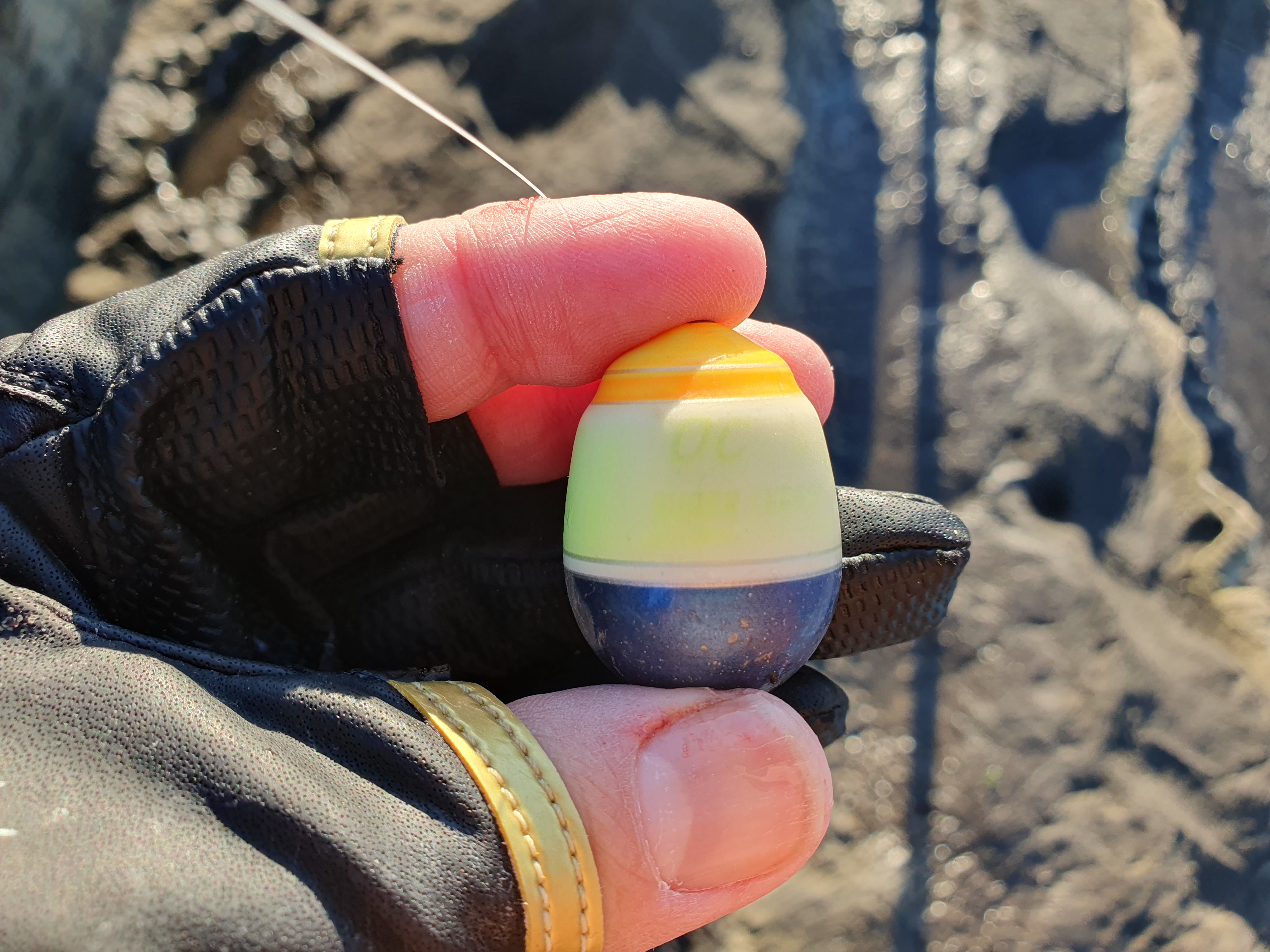 城ヶ島釣り 三浦 神奈川 メジナ