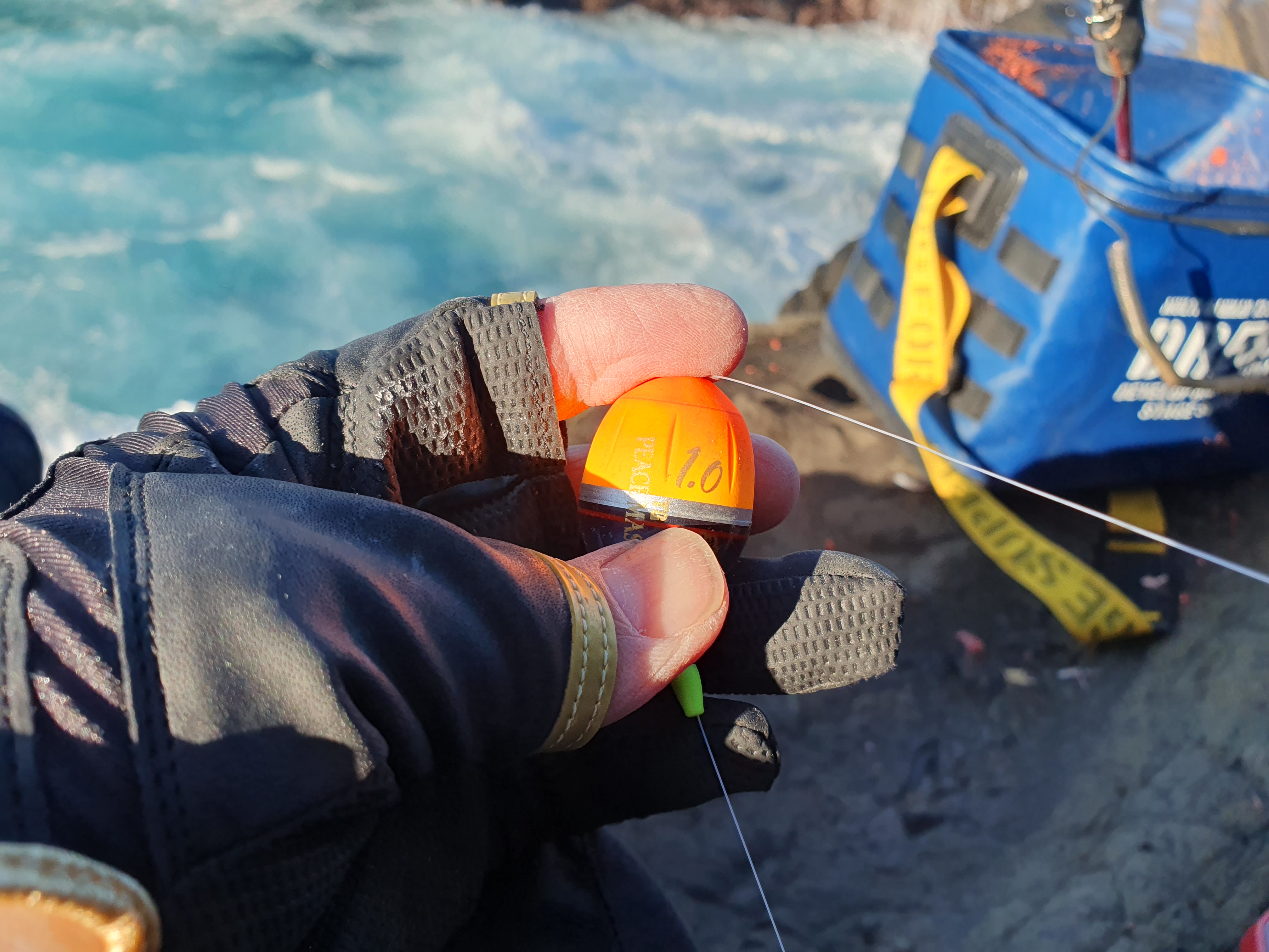 城ヶ島釣り 三浦 神奈川 メジナ