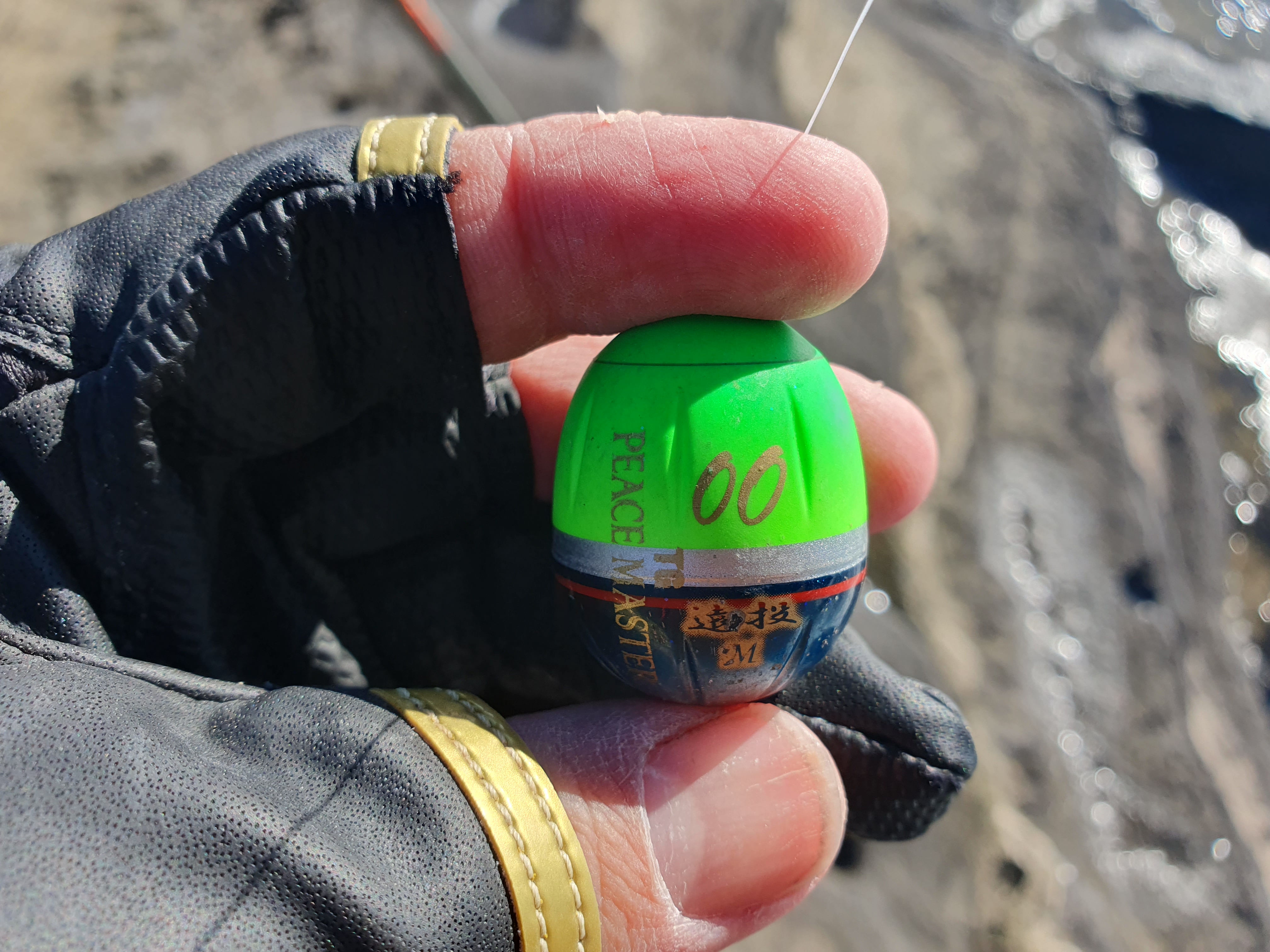 城ヶ島釣り 三浦 神奈川 メジナ