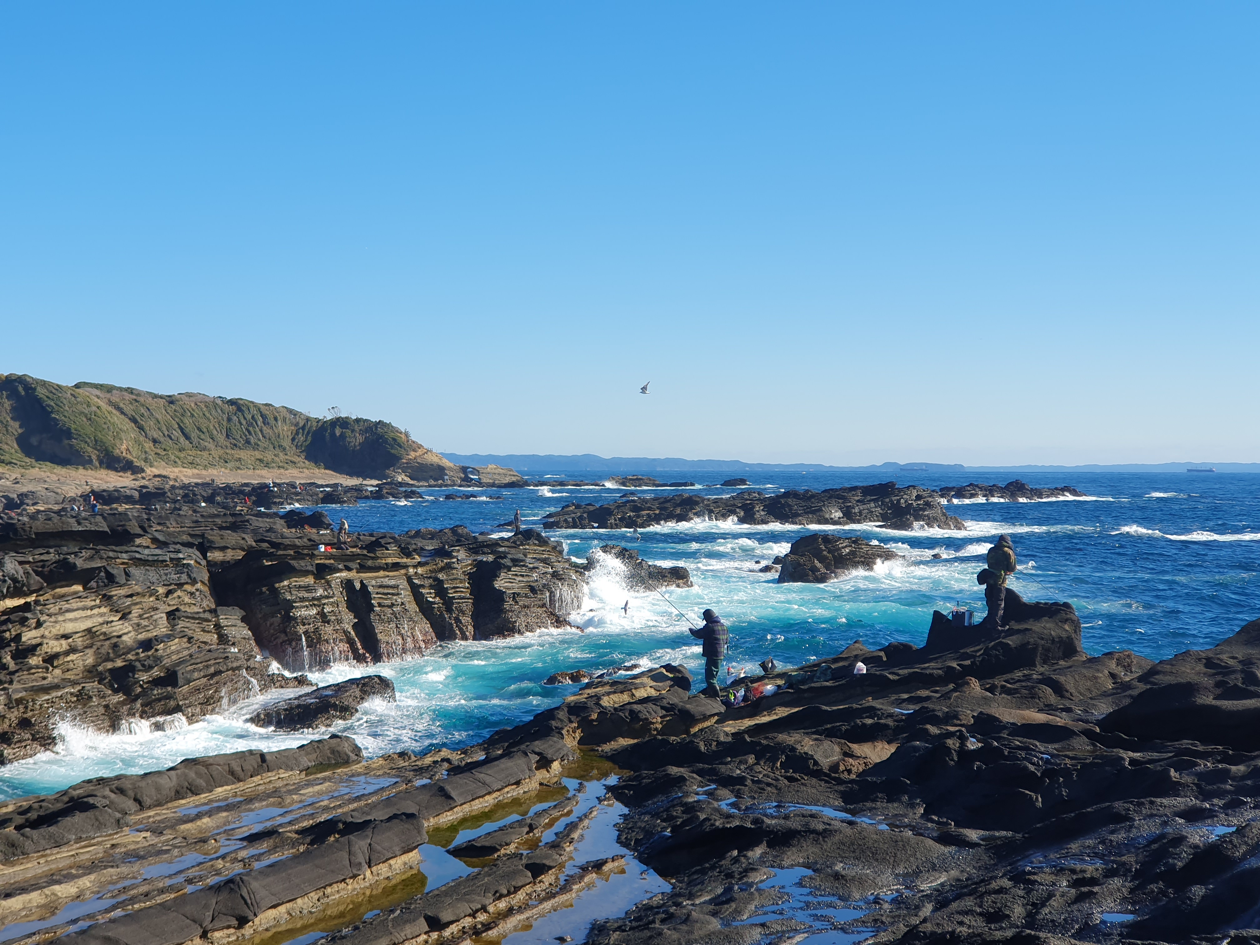 城ヶ島釣り 三浦 神奈川 メジナ