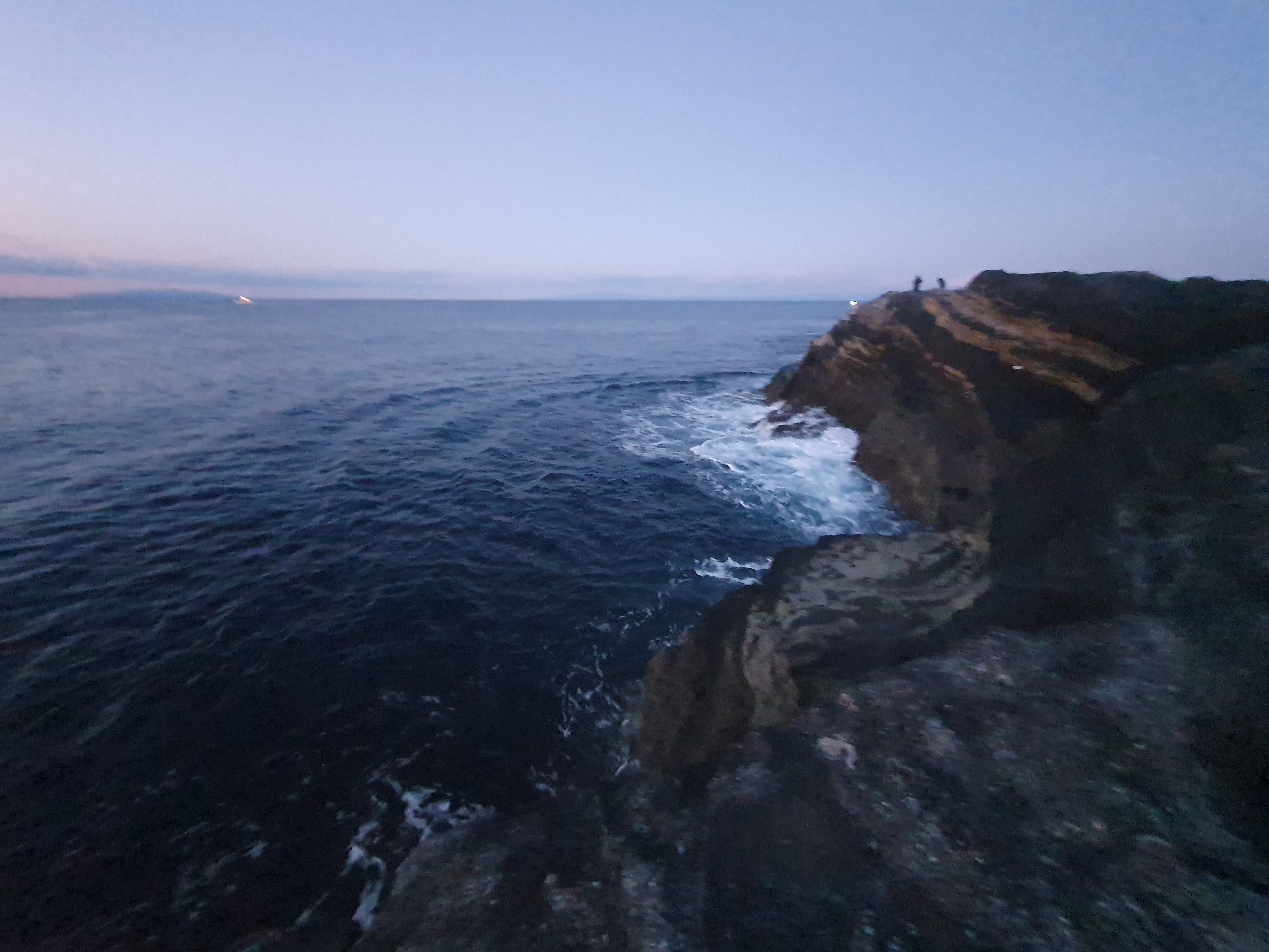 城ヶ島 釣り フカセ釣り メジナ グレ