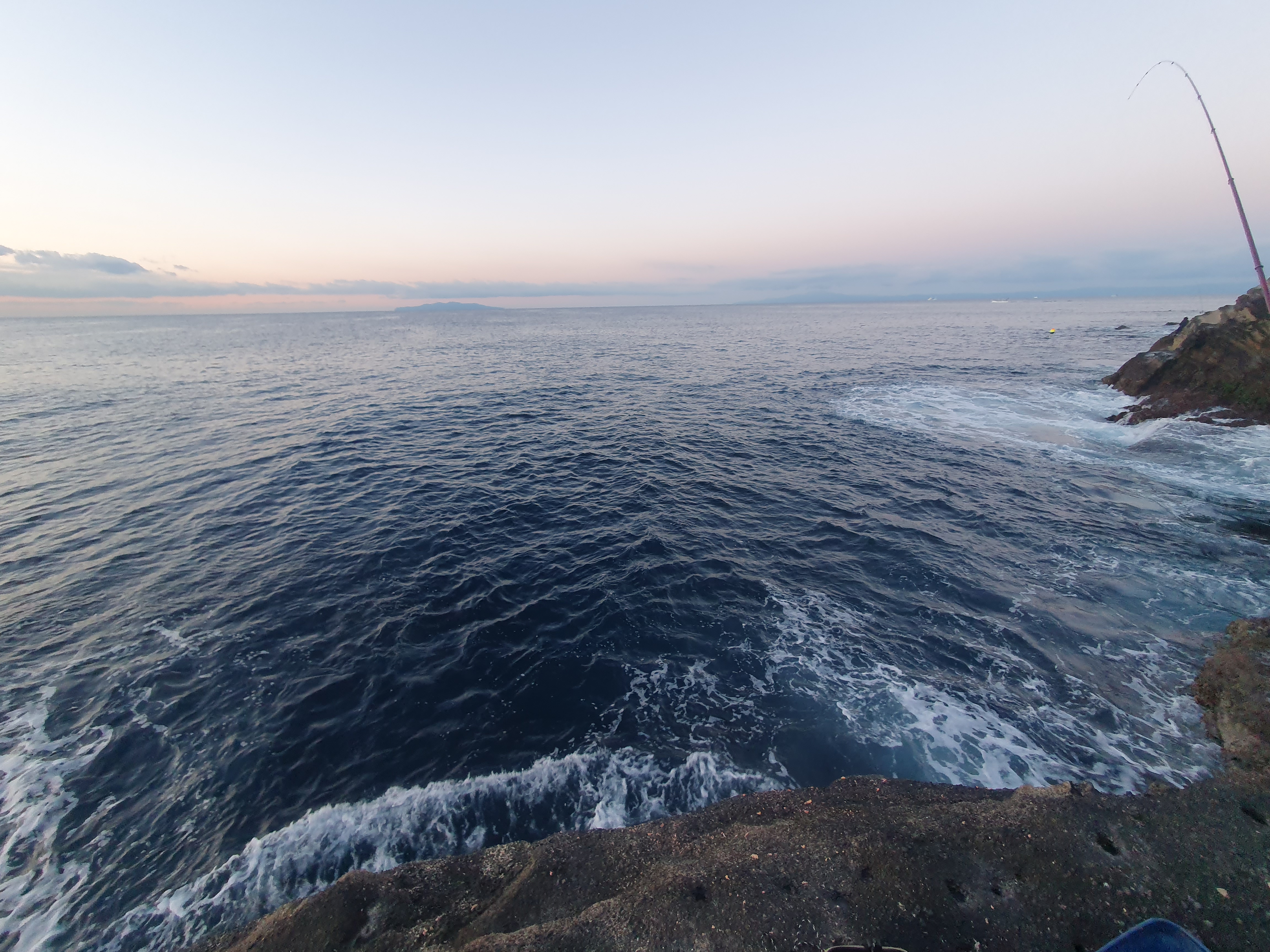 城ヶ島 釣り フカセ釣り メジナ グレ